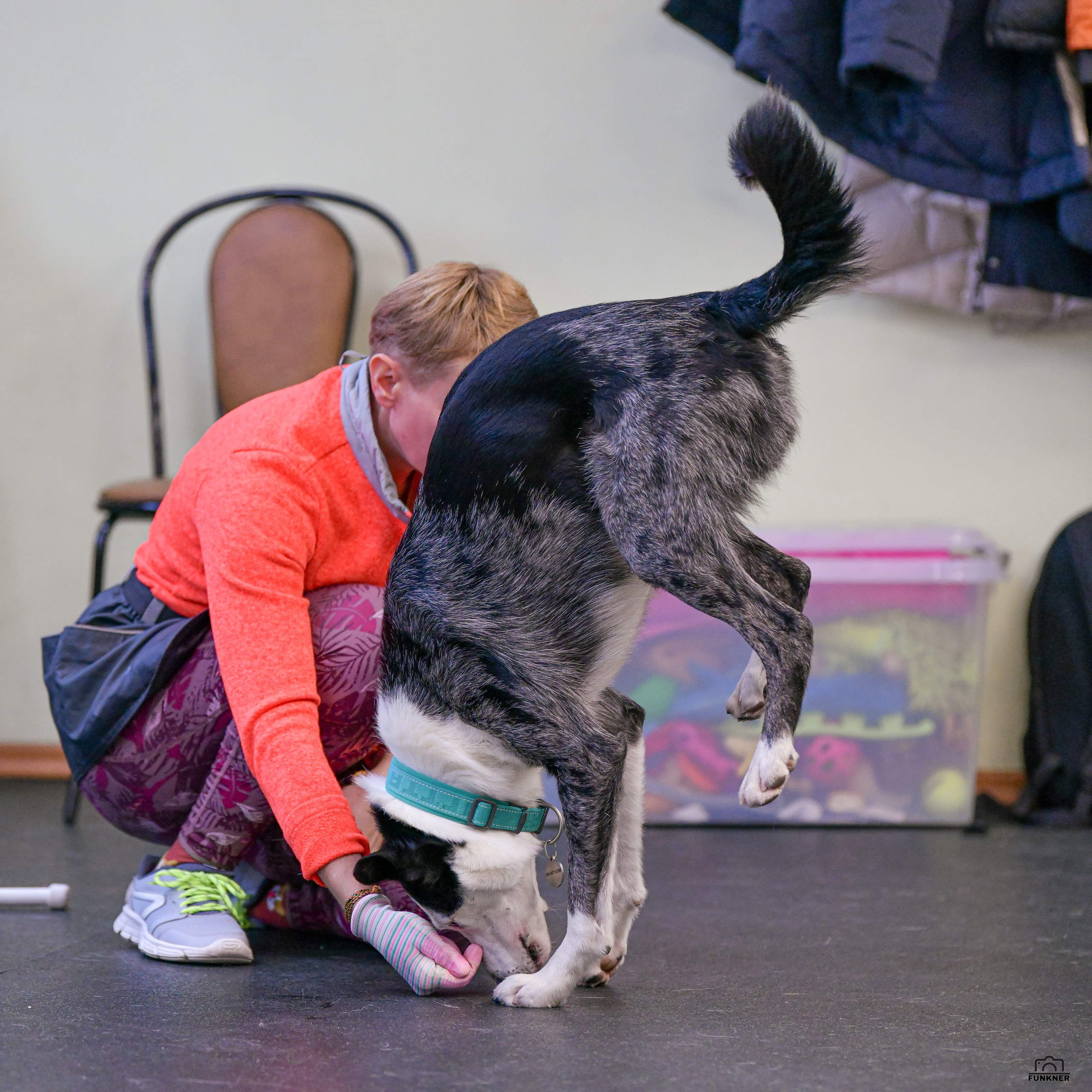 Кинологический клуб «Бодрый хвост». Свой взгляд через объектив