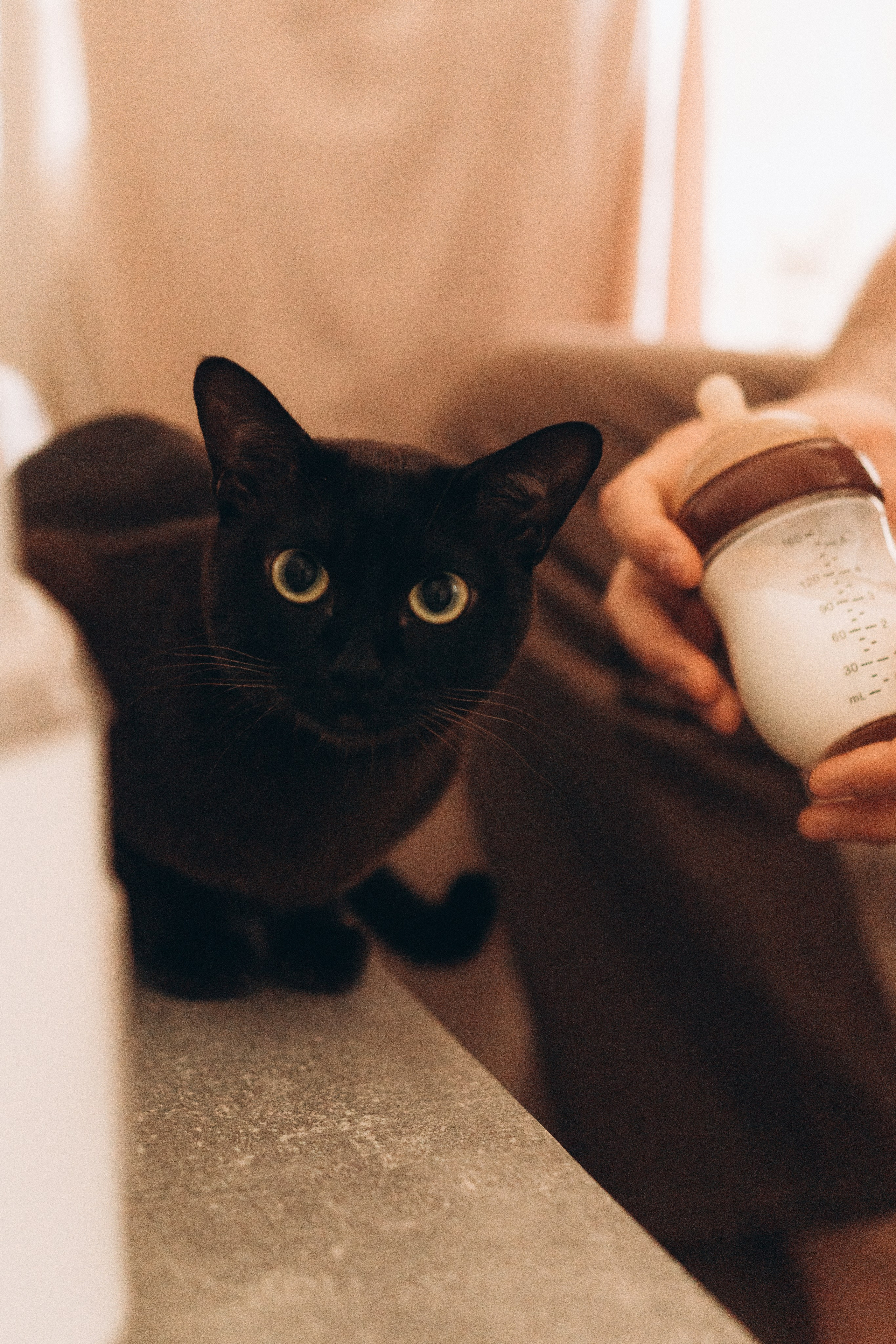 Домашняя фотосессия Роберта. Семейный, ньюборн фотограф, фотограф на роды в Москве, Виктория Тюльдюкова