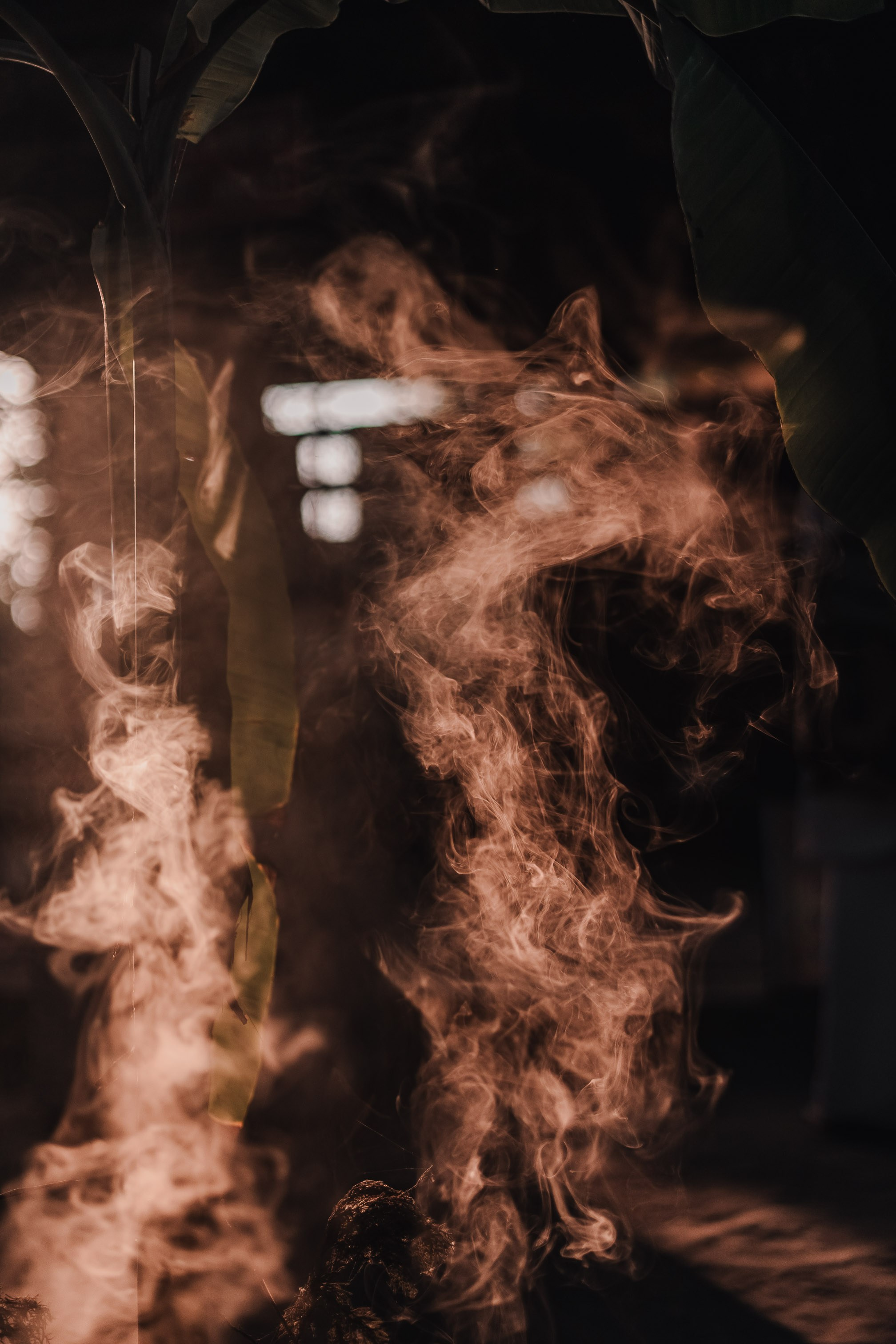 Devraha Baba Ji Ashram in Vrindavan. Мариам Багдасарян