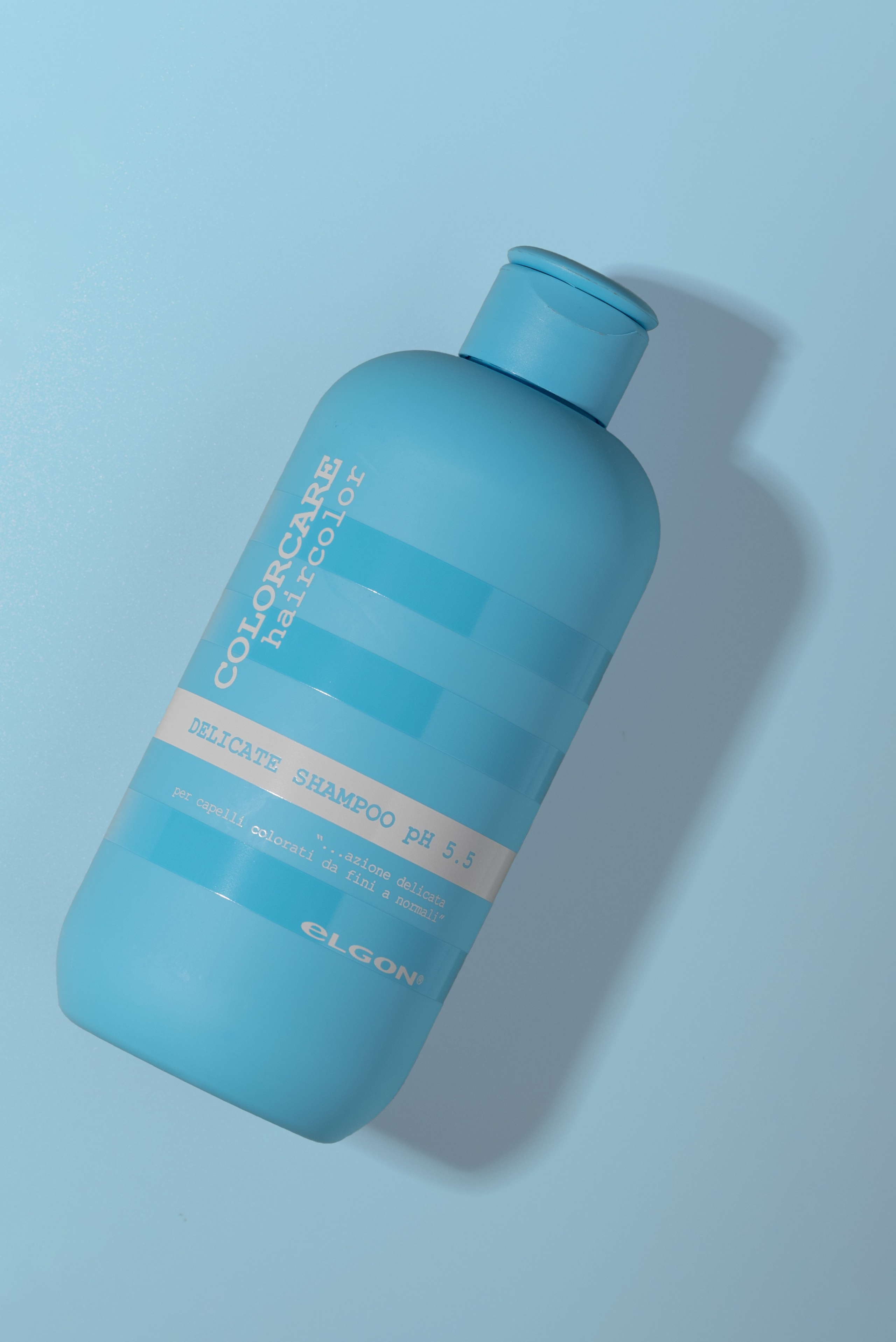 Каталог на цветном фоне.