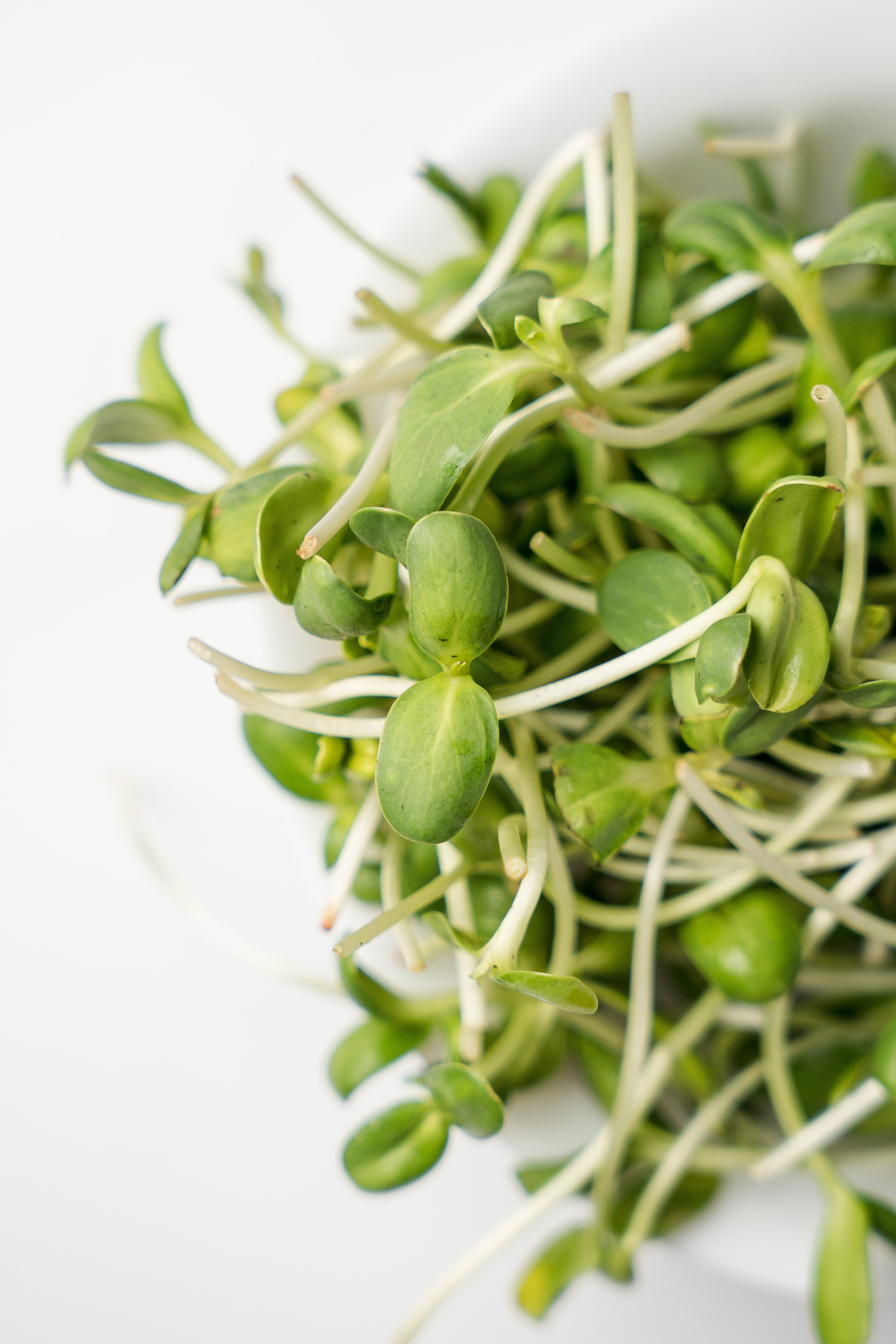 «ЧУДЕСНАЯ ЖИЗНЬ». Фотограф в Москве Казакова Анна