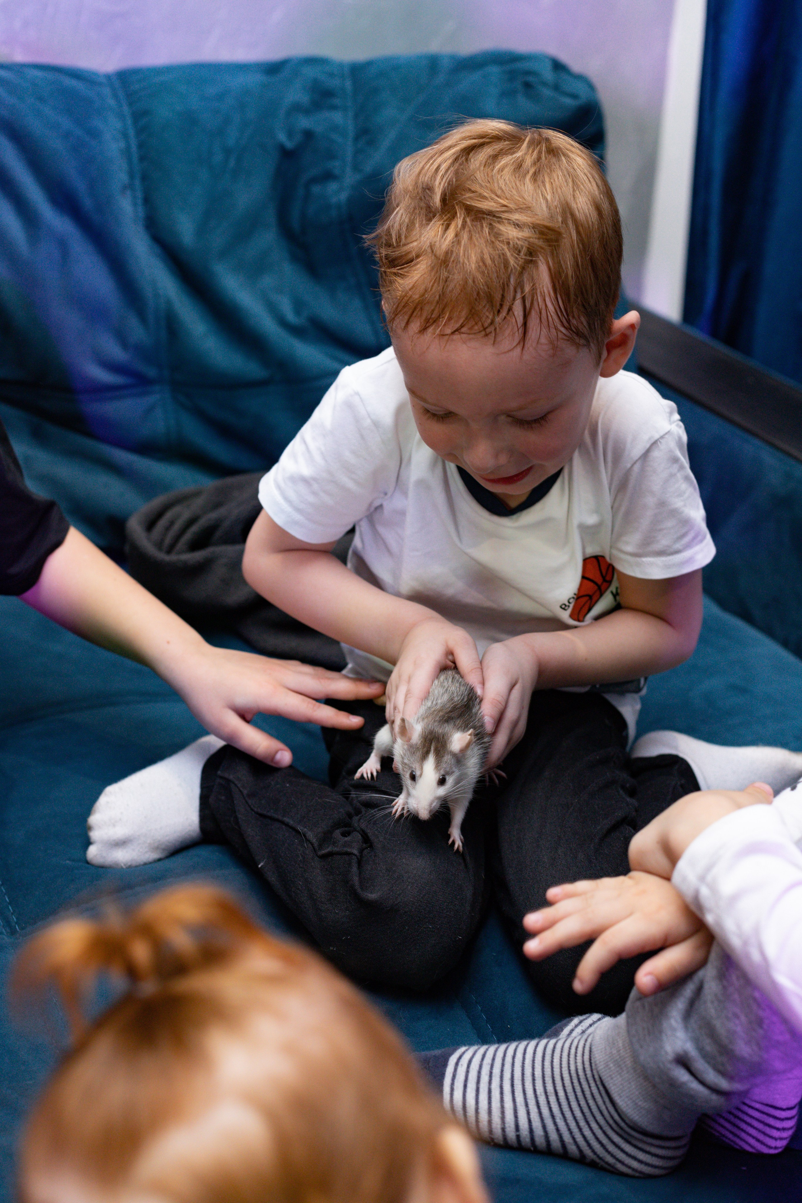 ZAHAR 5 YEAR / BIRTHDAY. Photokarish