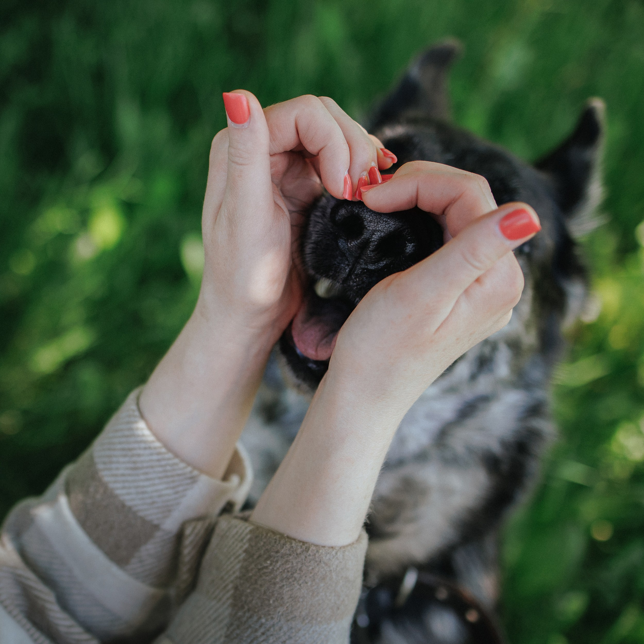 Анжелика и Линда. Фотограф Наталья Потапова