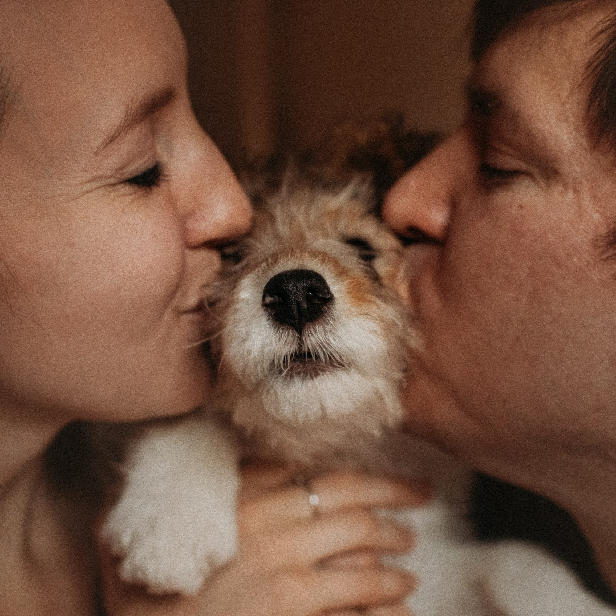 Ребята и фоксы. Фотограф Наталья Потапова