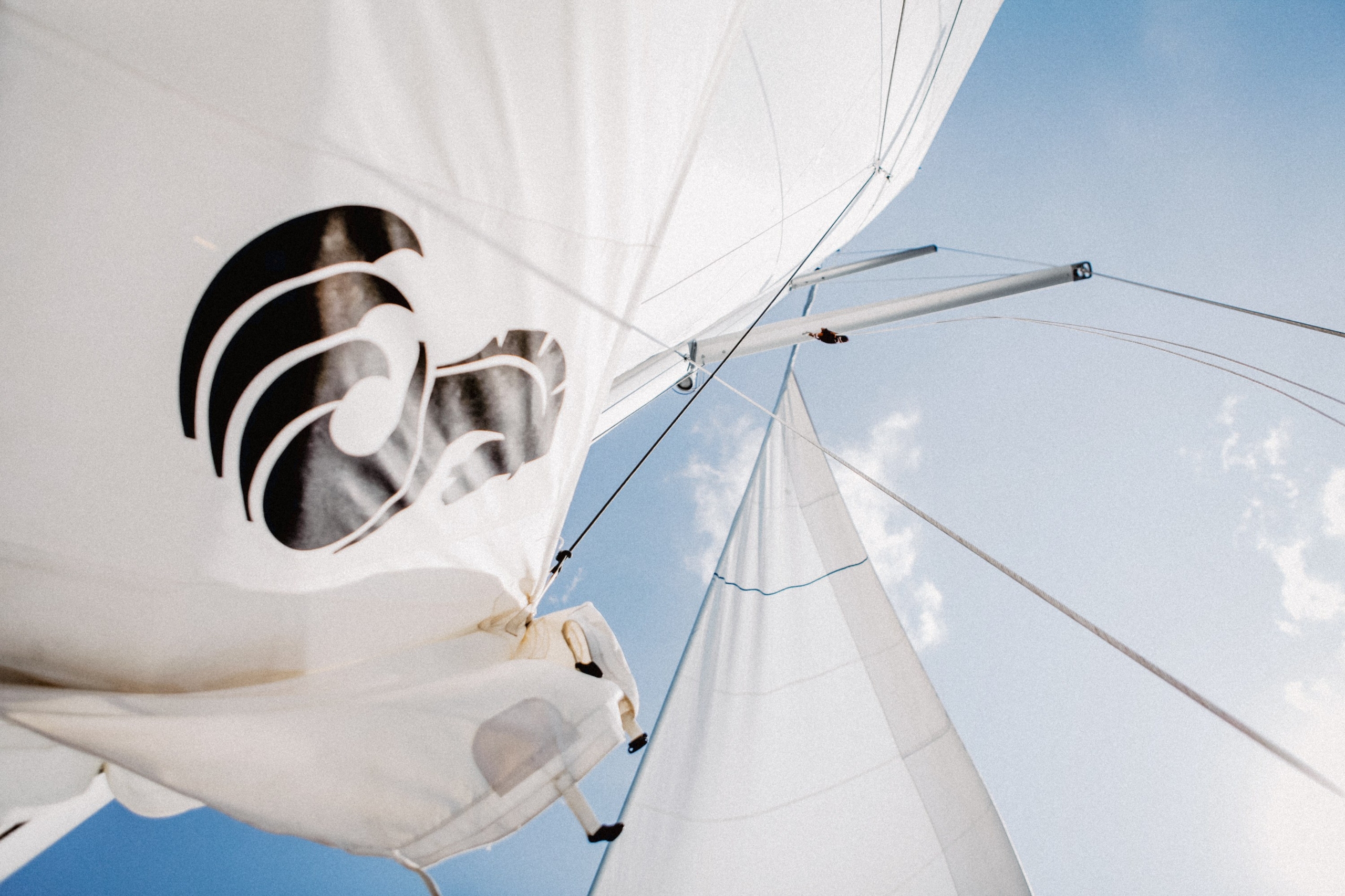 Chazing the wind. Фотограф Violetta Skripka