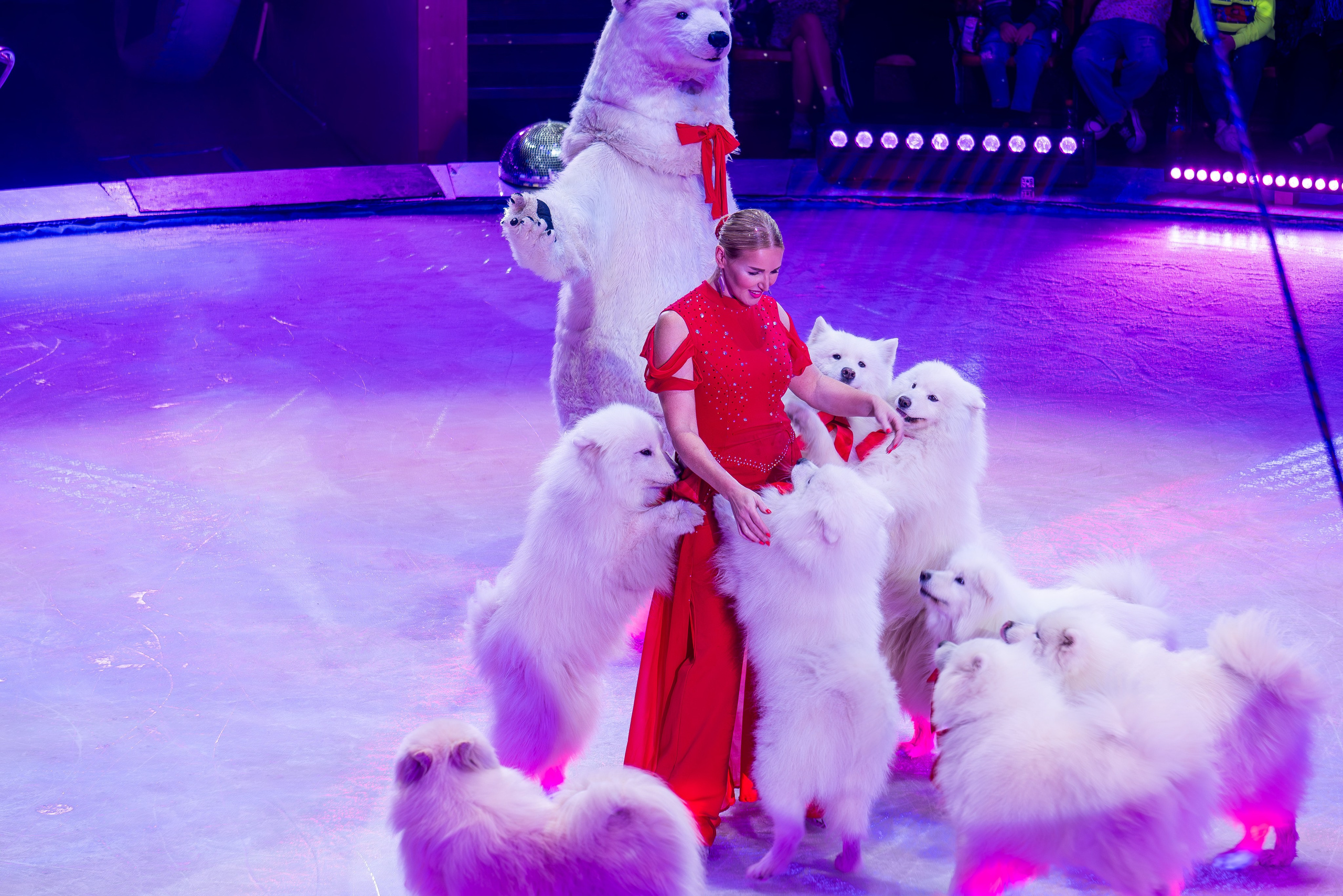 Цирк на льду «Айсберг» в Луганске. Фотограф в РФ и ЛНР Юлия Федосеева