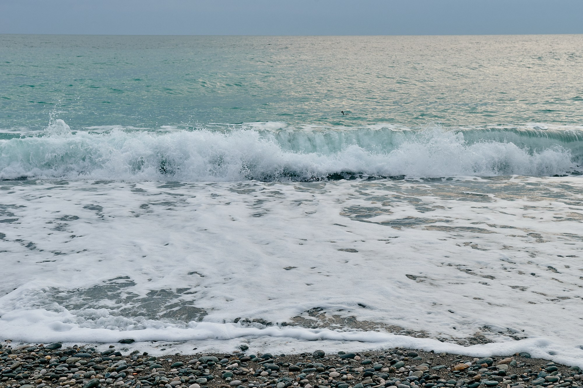Пицунда, Абхазия. Декабрь 2024. Фотографии отовсюду и обо всем