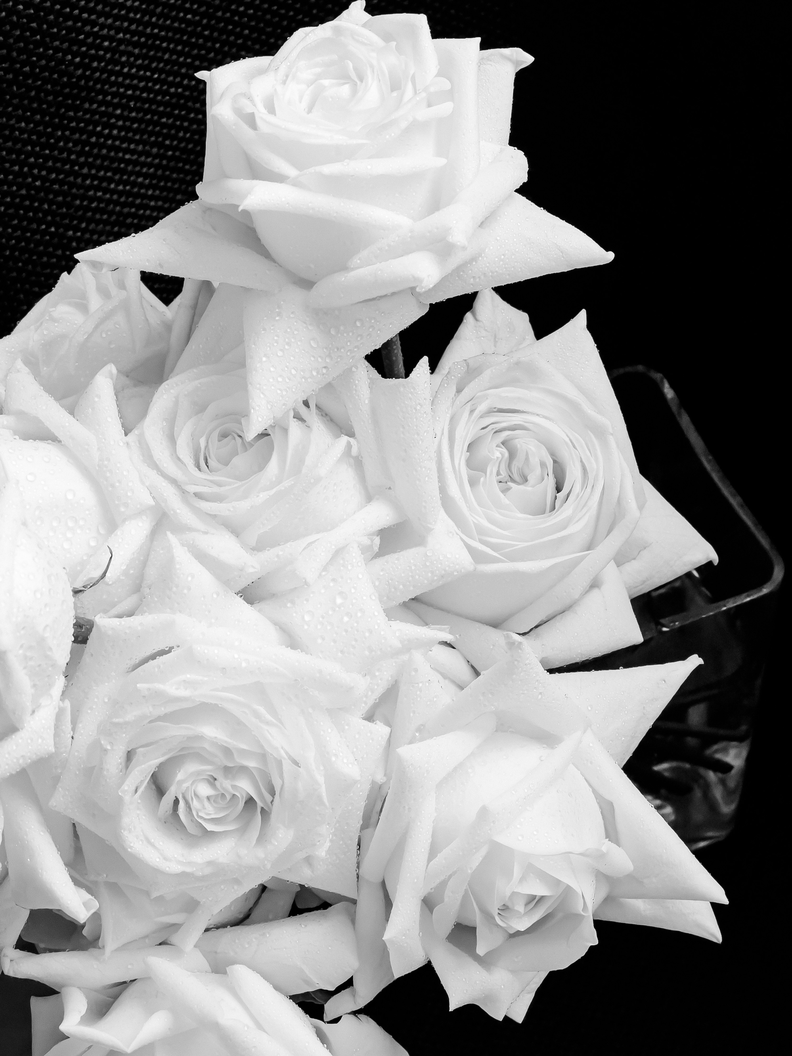 ALEKS & EKATERINA. Свадебный фотограф в Евпатории и в Крыму, Love story, женский портрет