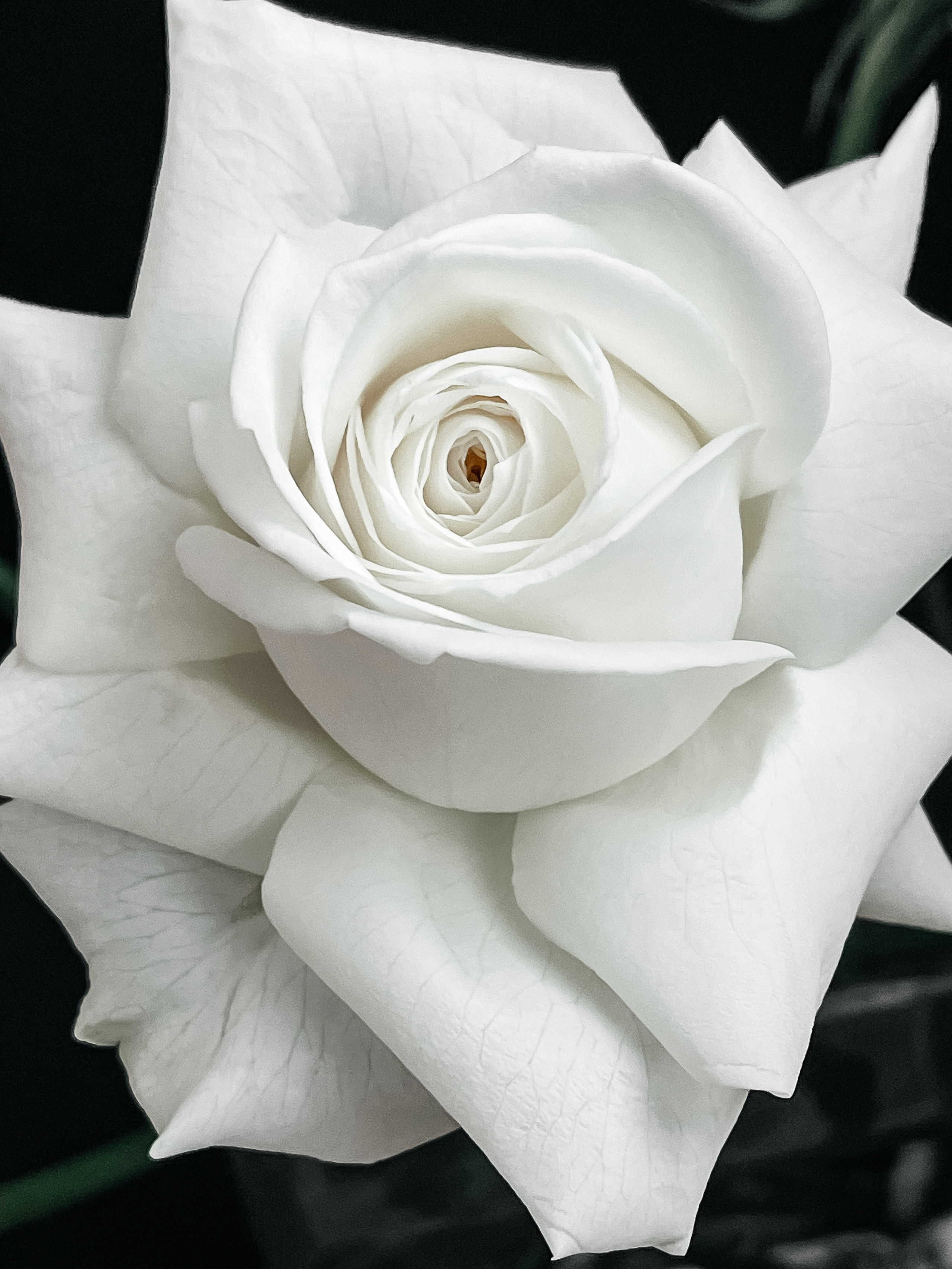 ALEKS & EKATERINA. Свадебный фотограф в Евпатории и в Крыму, Love story, женский портрет