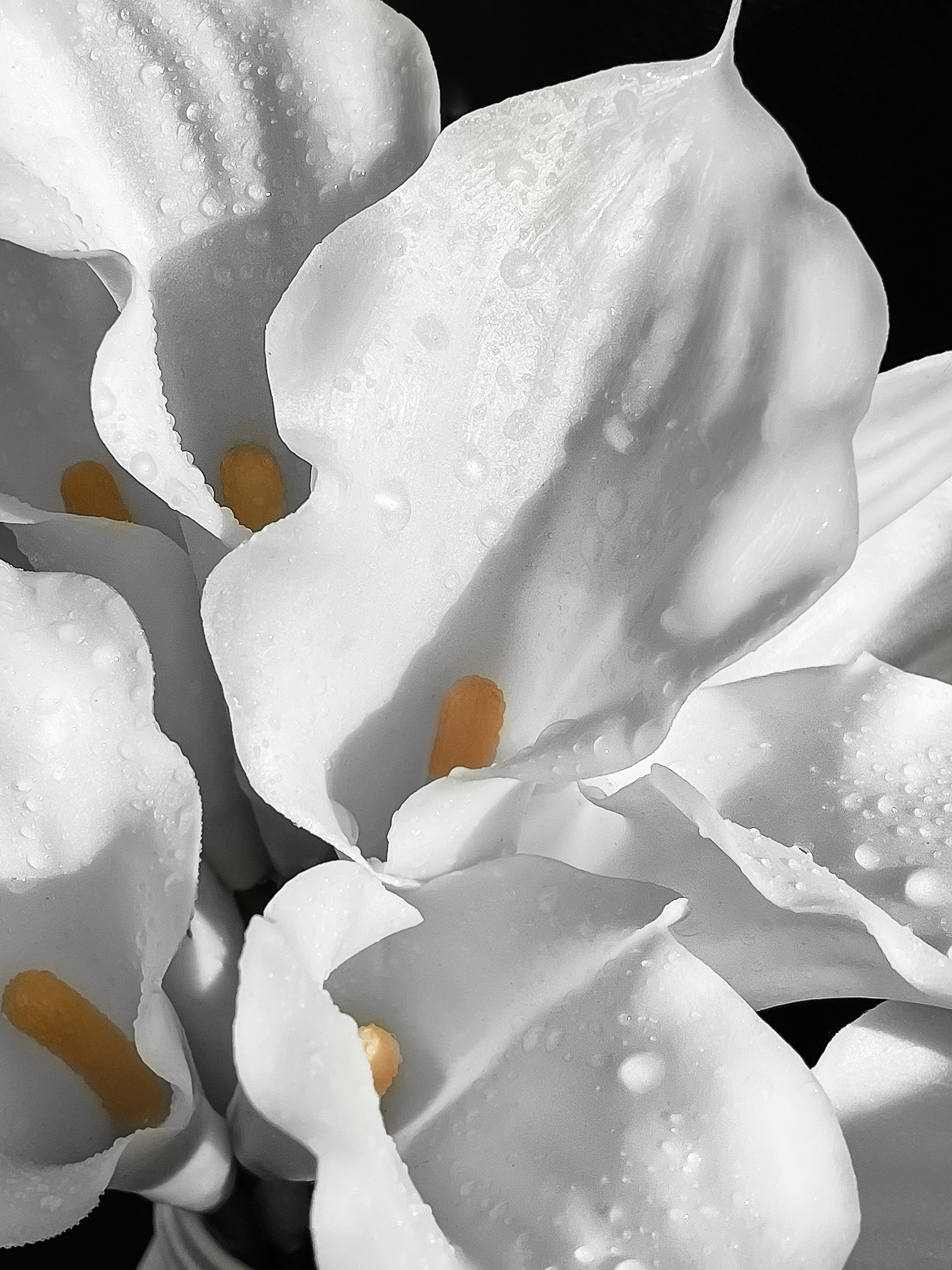 ANASTASIYA FASHION BRIDE…. Свадебный фотограф в Евпатории и в Крыму, Love story, женский портрет