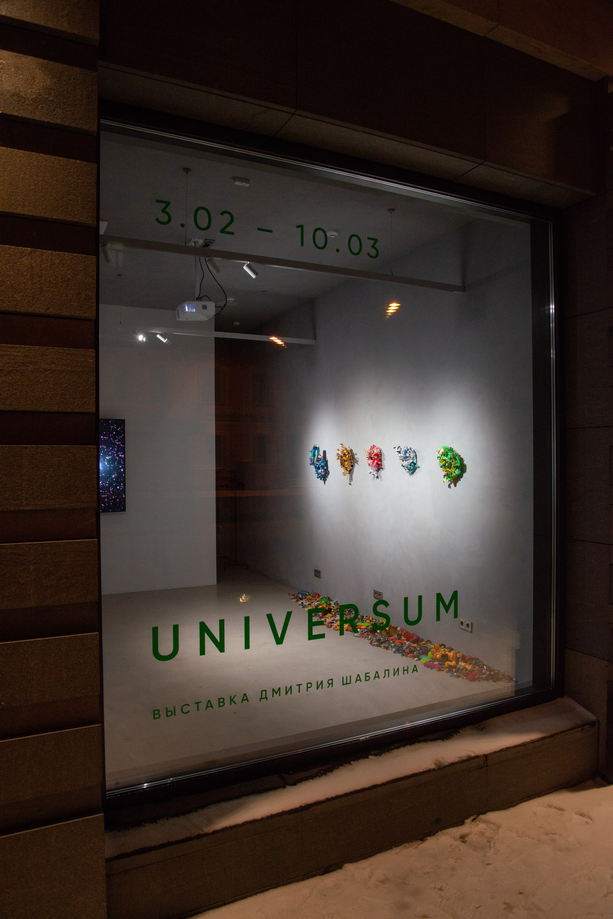 Universum. Anna Zavediy