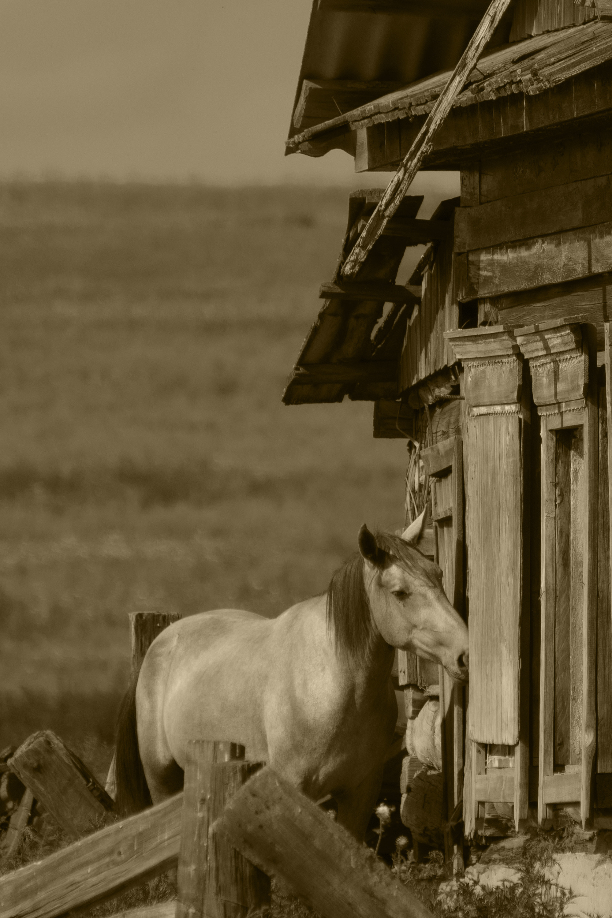 Уже не вернутся…. Свободный фотохудожник из Иркутска