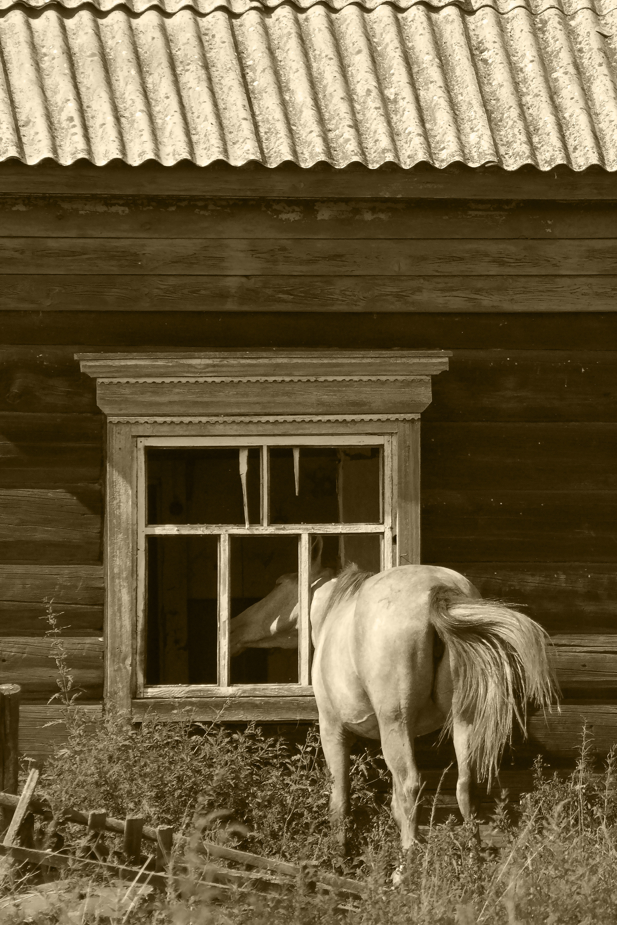Уже не вернутся…. Свободный фотохудожник из Иркутска