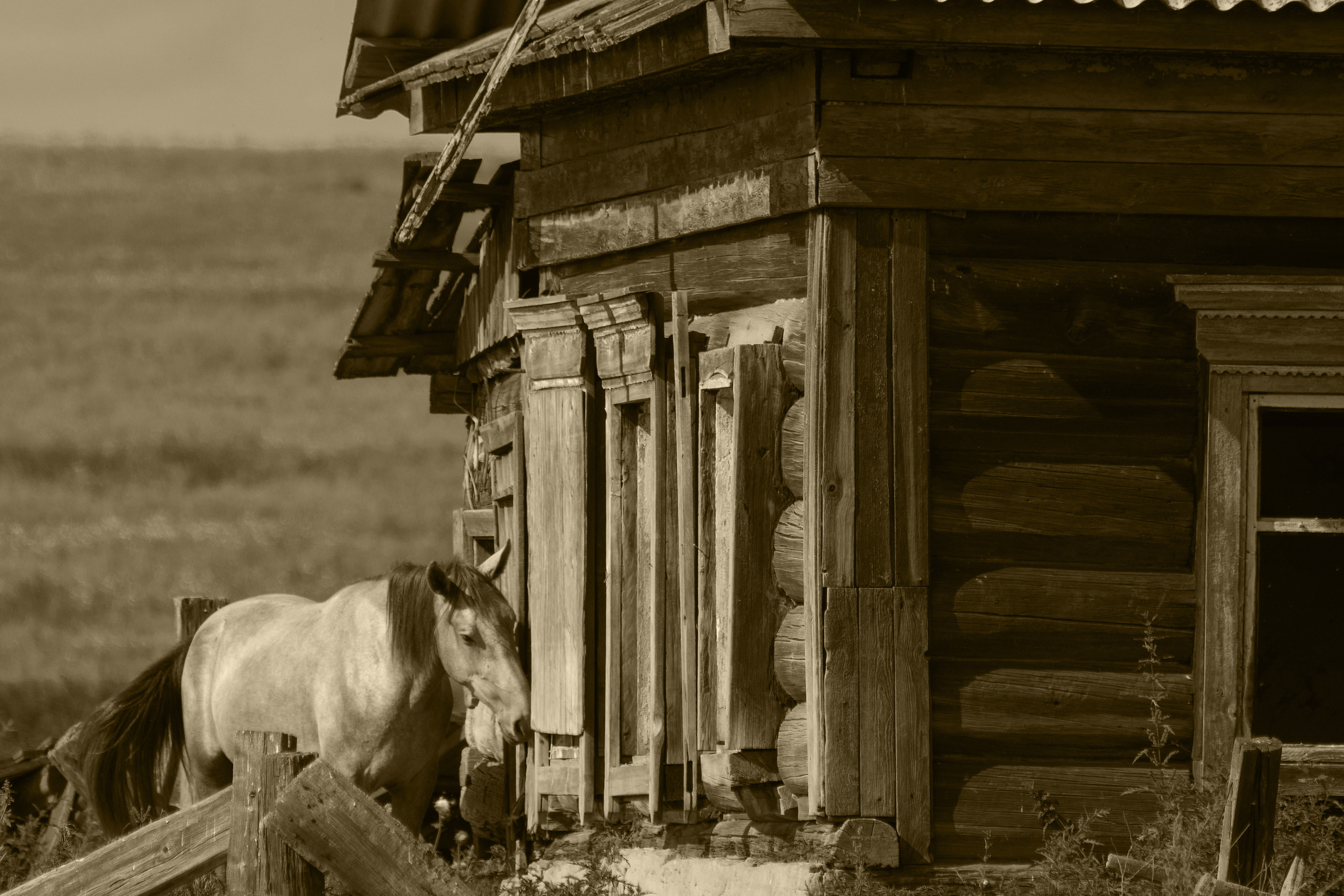 Уже не вернутся…. Свободный фотохудожник из Иркутска