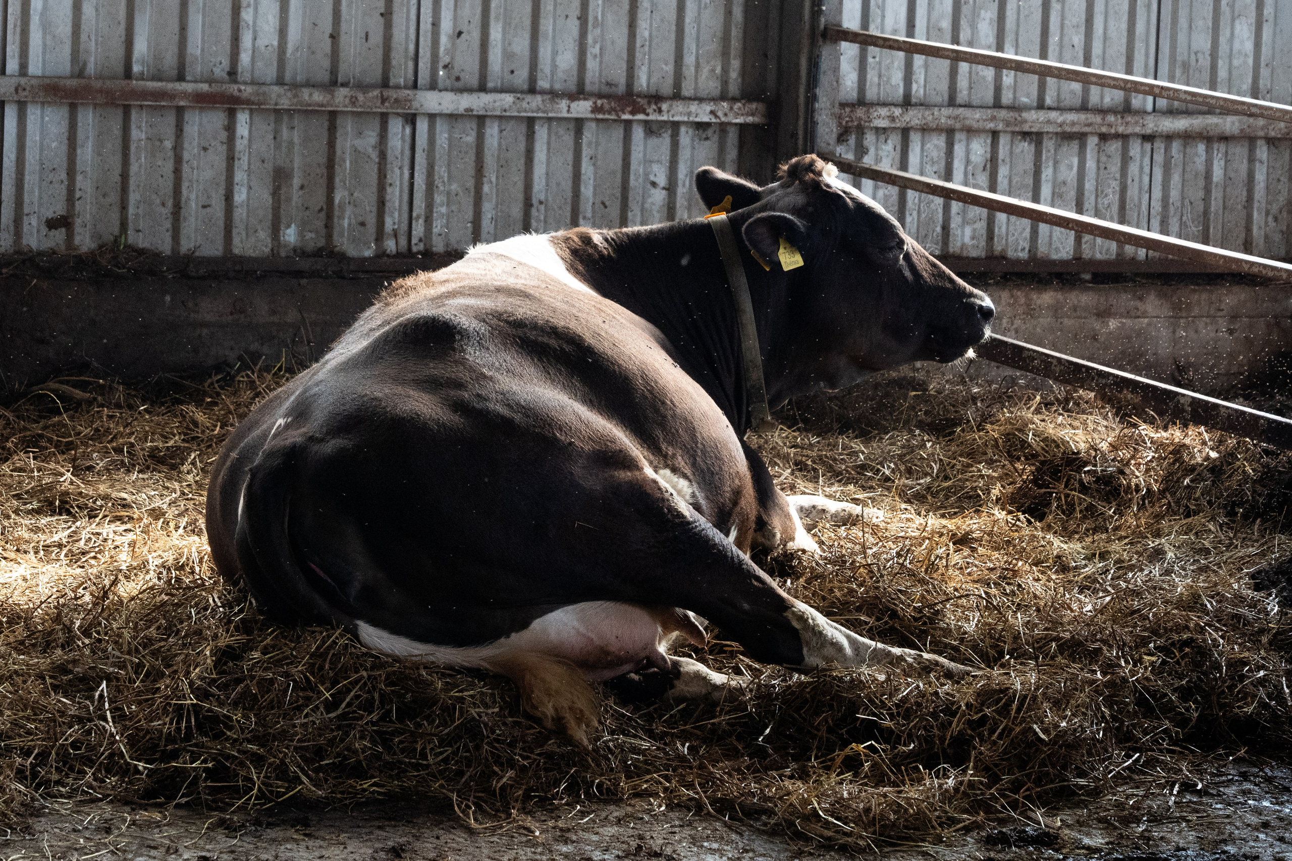 «Летний институт», посвящённый историческим процессам на евразийском пространстве. Репортажный фотограф в Москве Легкая Софья