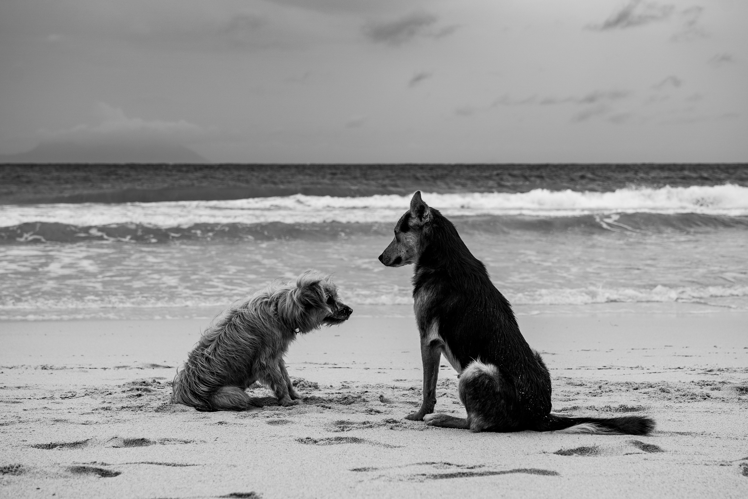 Сейшелы и Дубай 2024. Легкая фотография