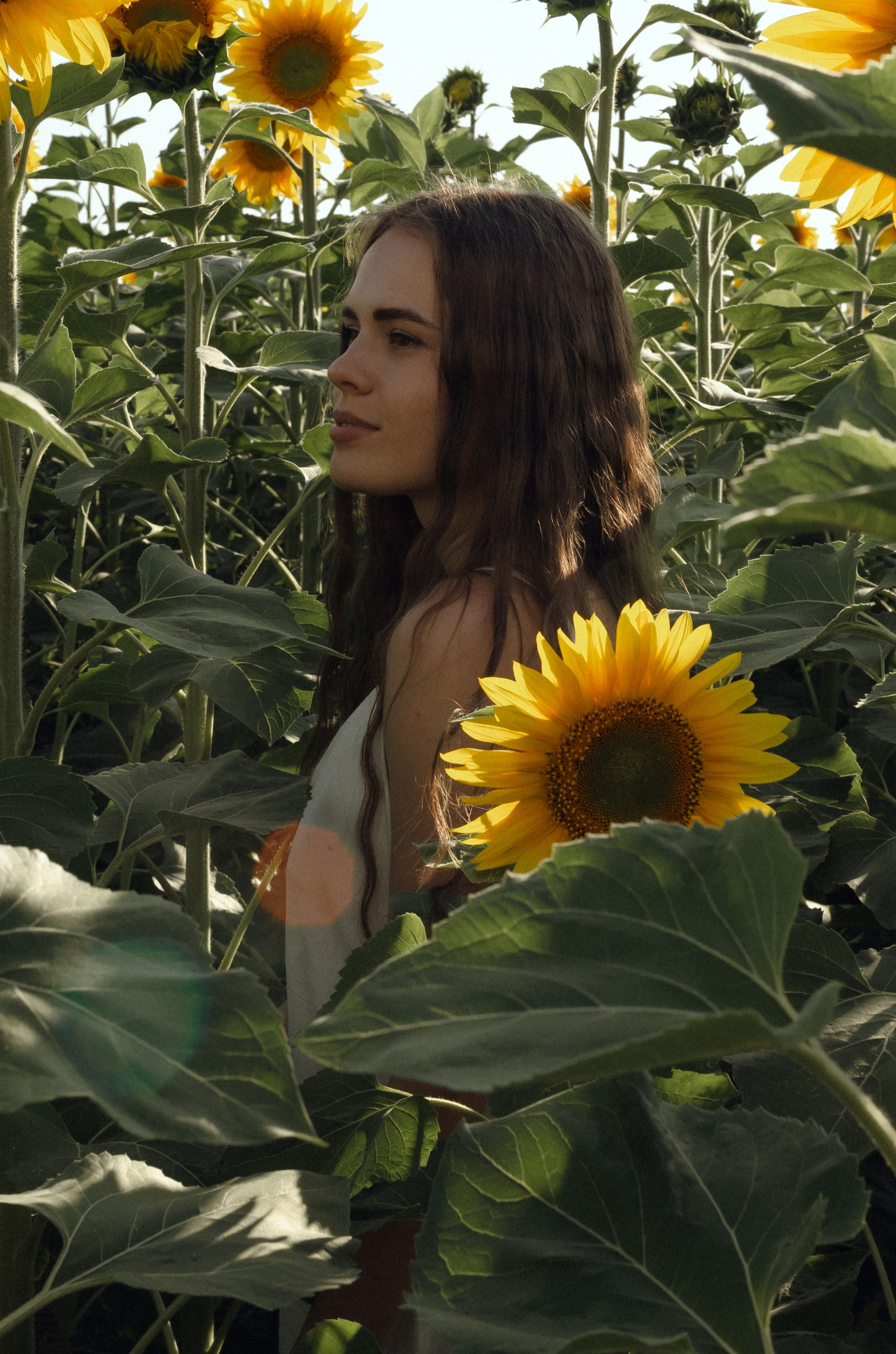 Таня и Инна. Летняя съемка сестер. Семейный фотограф в Барнауле Ирина Ястребова