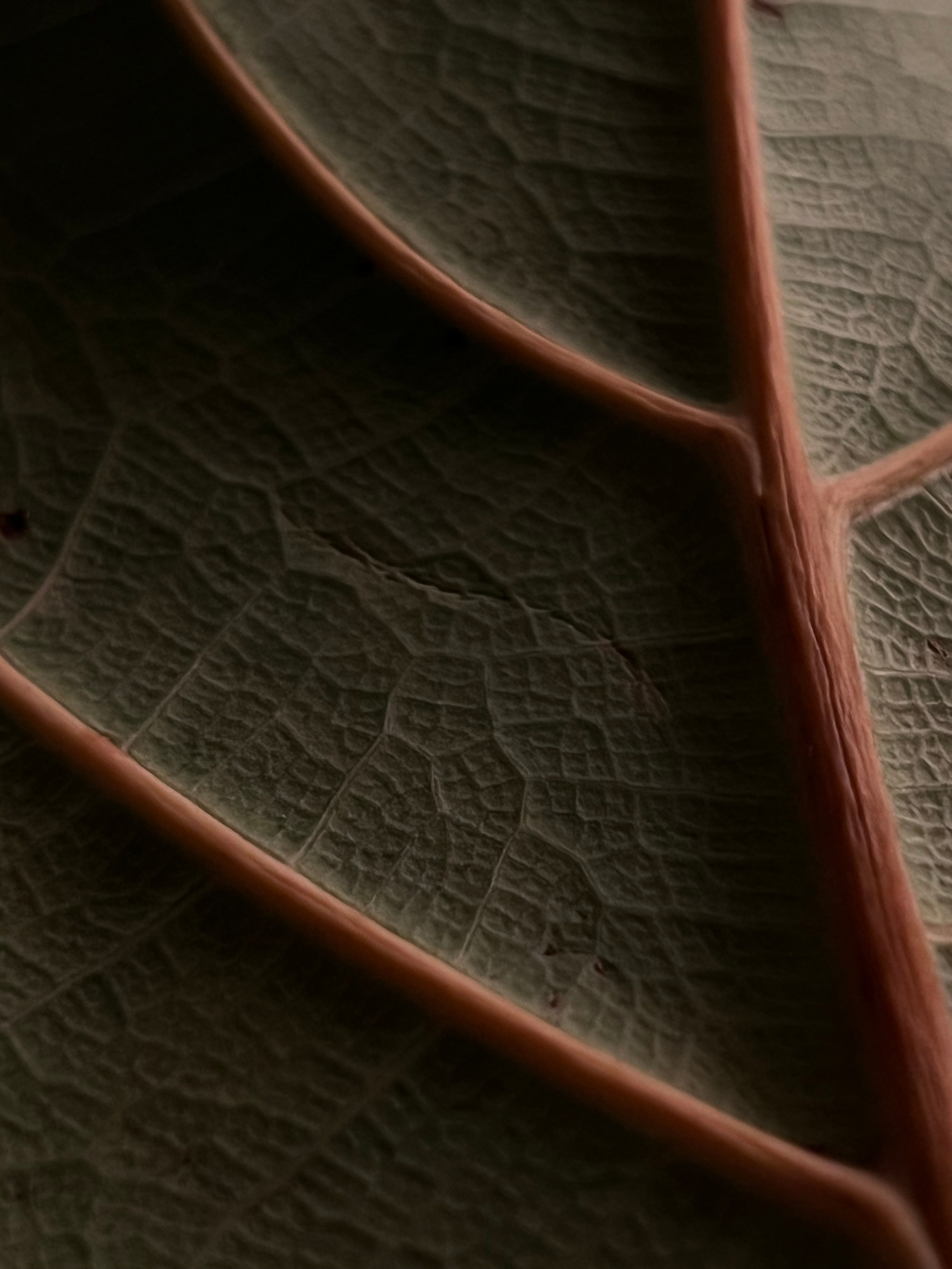 Fragments. Artem Khusainov