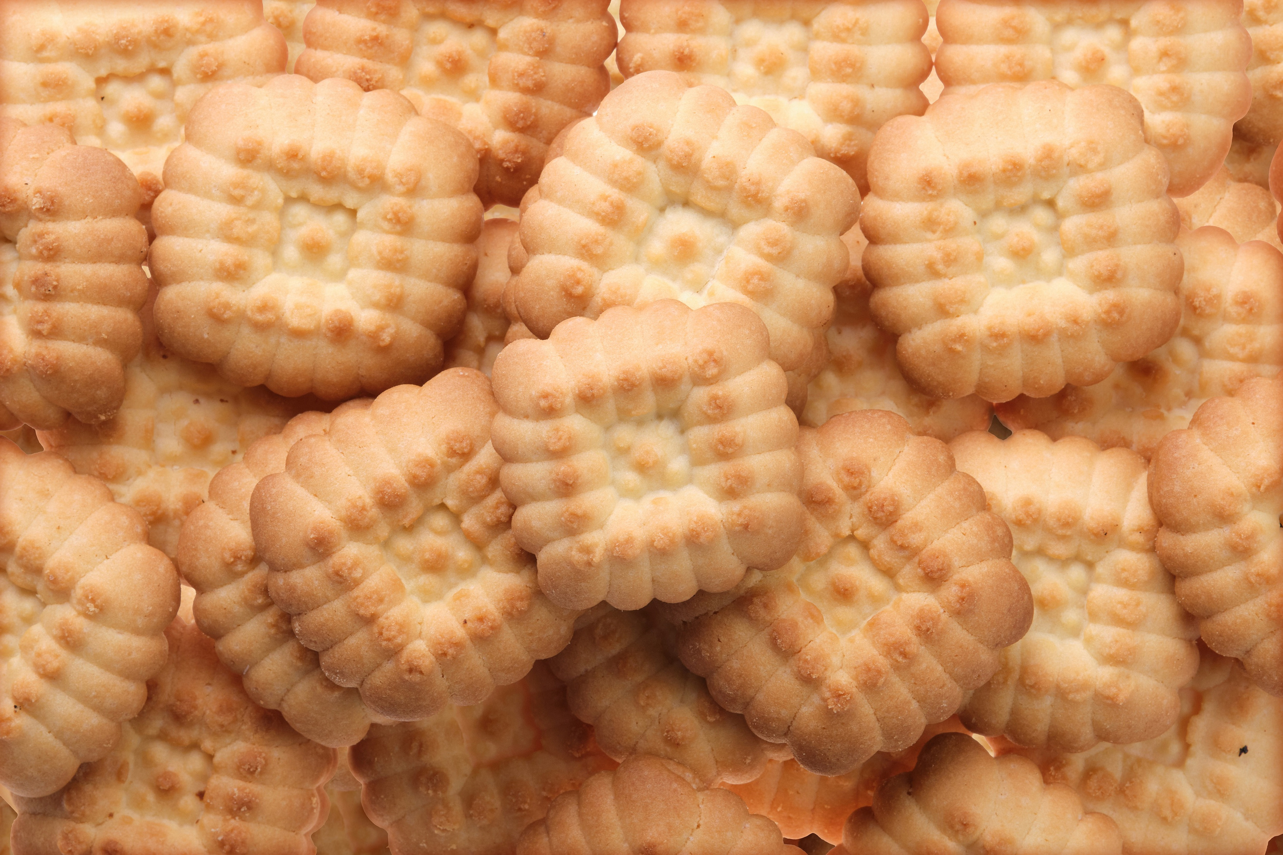 Каталожная съемка. Фотостудия КВАДРАТ