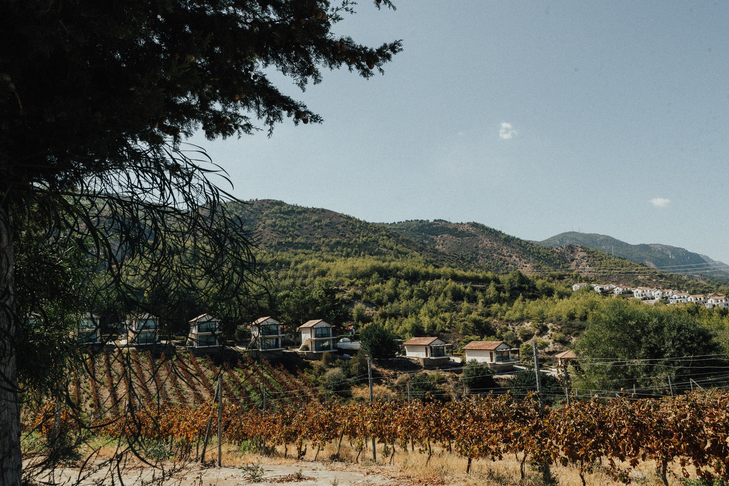 L&A. Фотограф в Батуми Павел Шарников