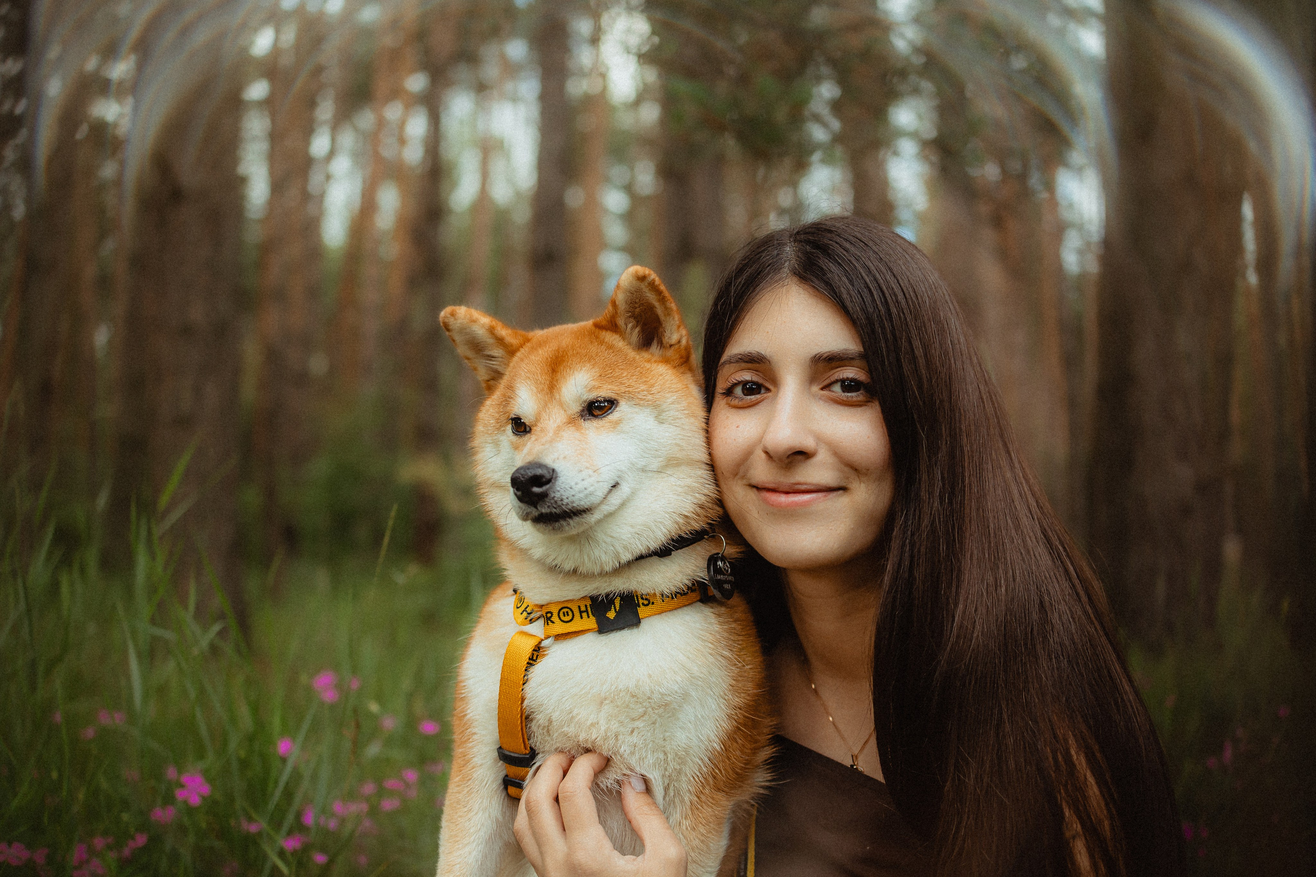 Выездной дог-тренинг от школы «Шерсть имею»