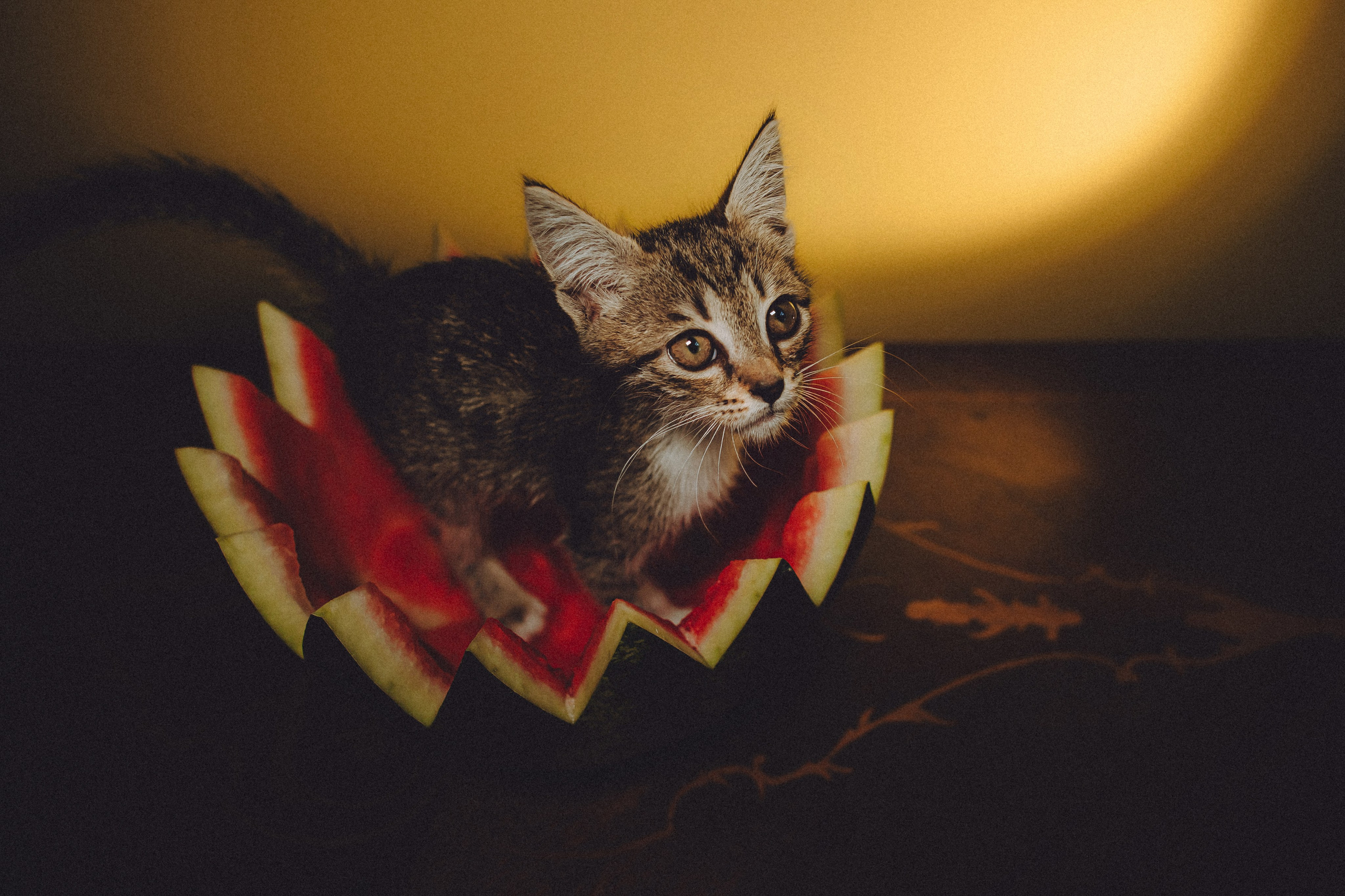 Сирена и арбуз