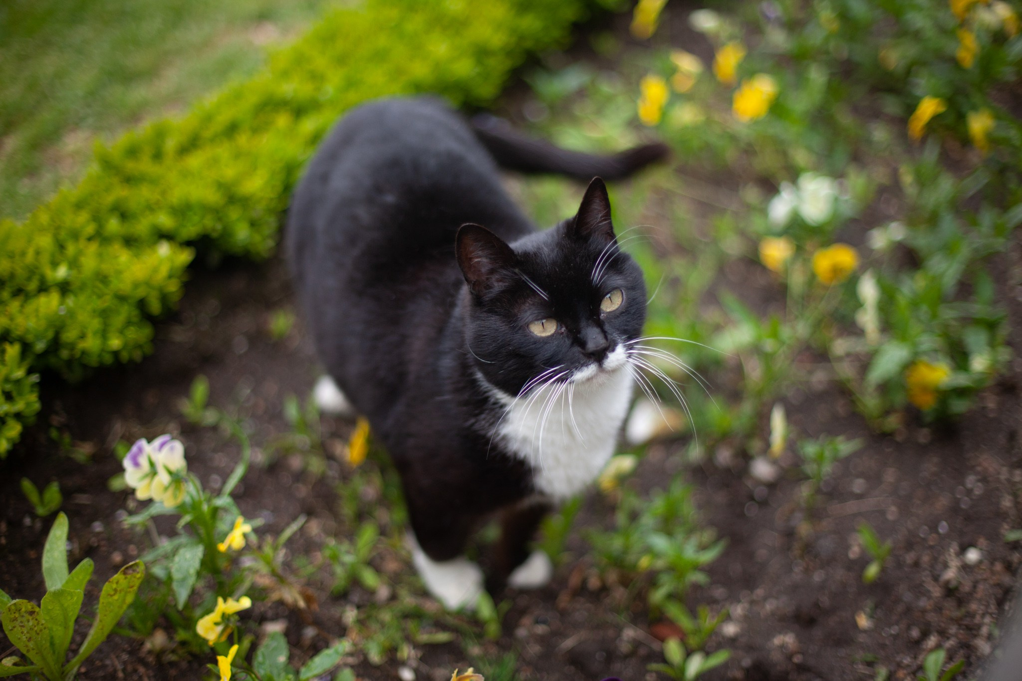 Portugal Santuário do Bom Jesus do Monte, португалия 2010. Фотограф Василий Буланов