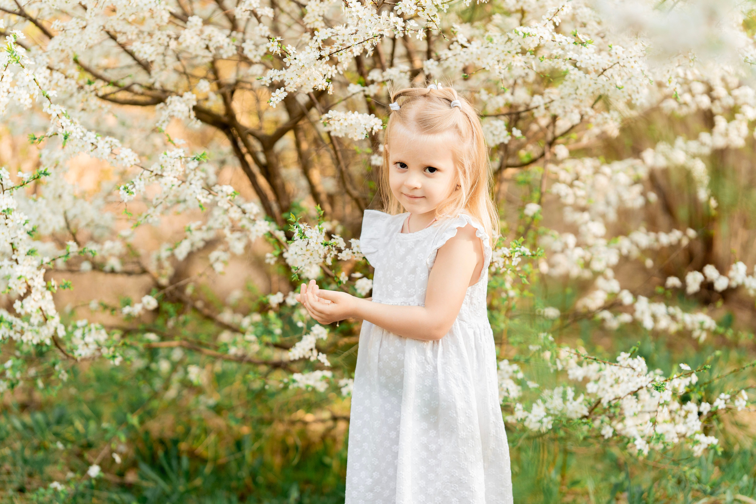 Цветение. Фотограф Юлия Попова