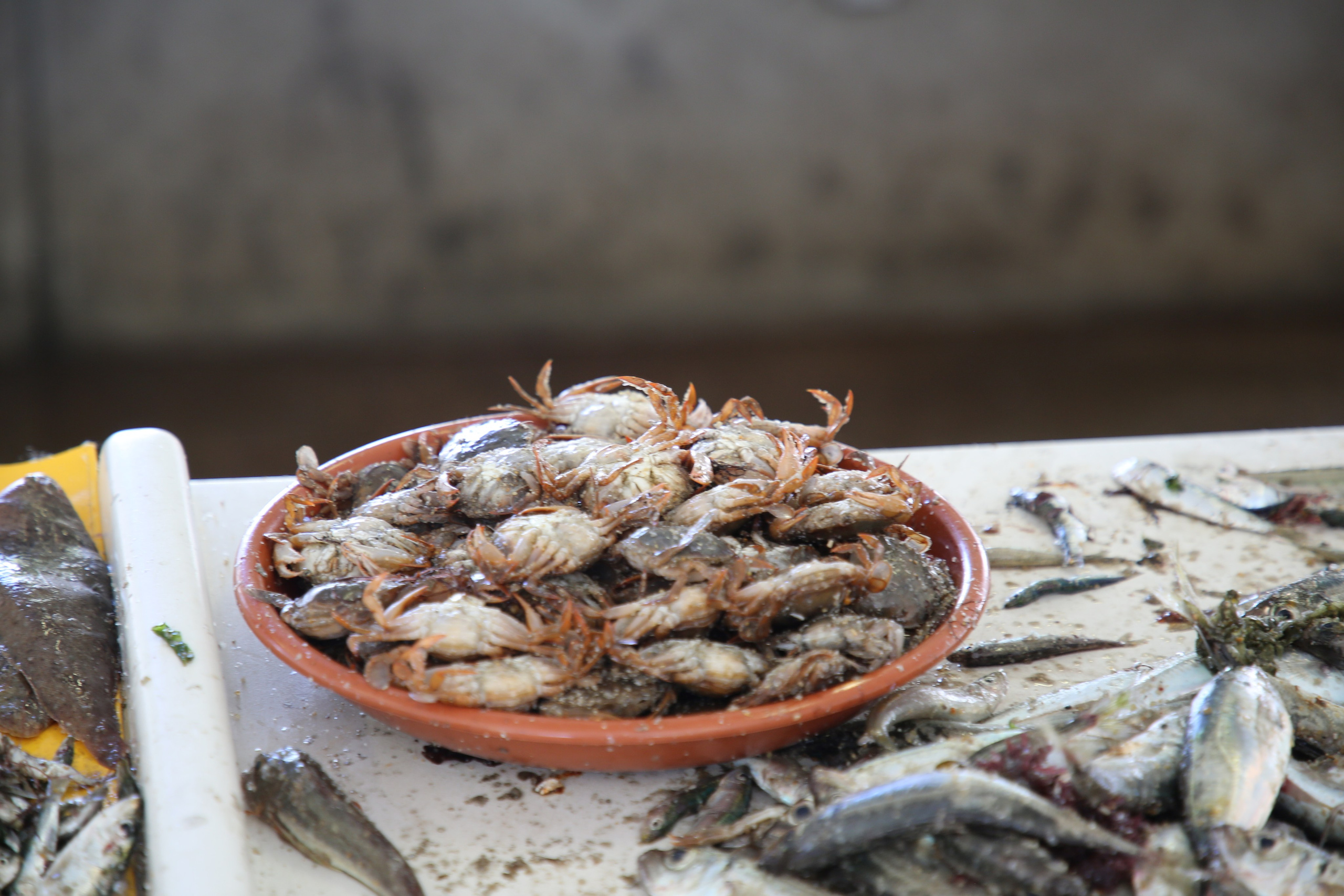 Espihnio, Portugal. Andrey Filippov Photographer