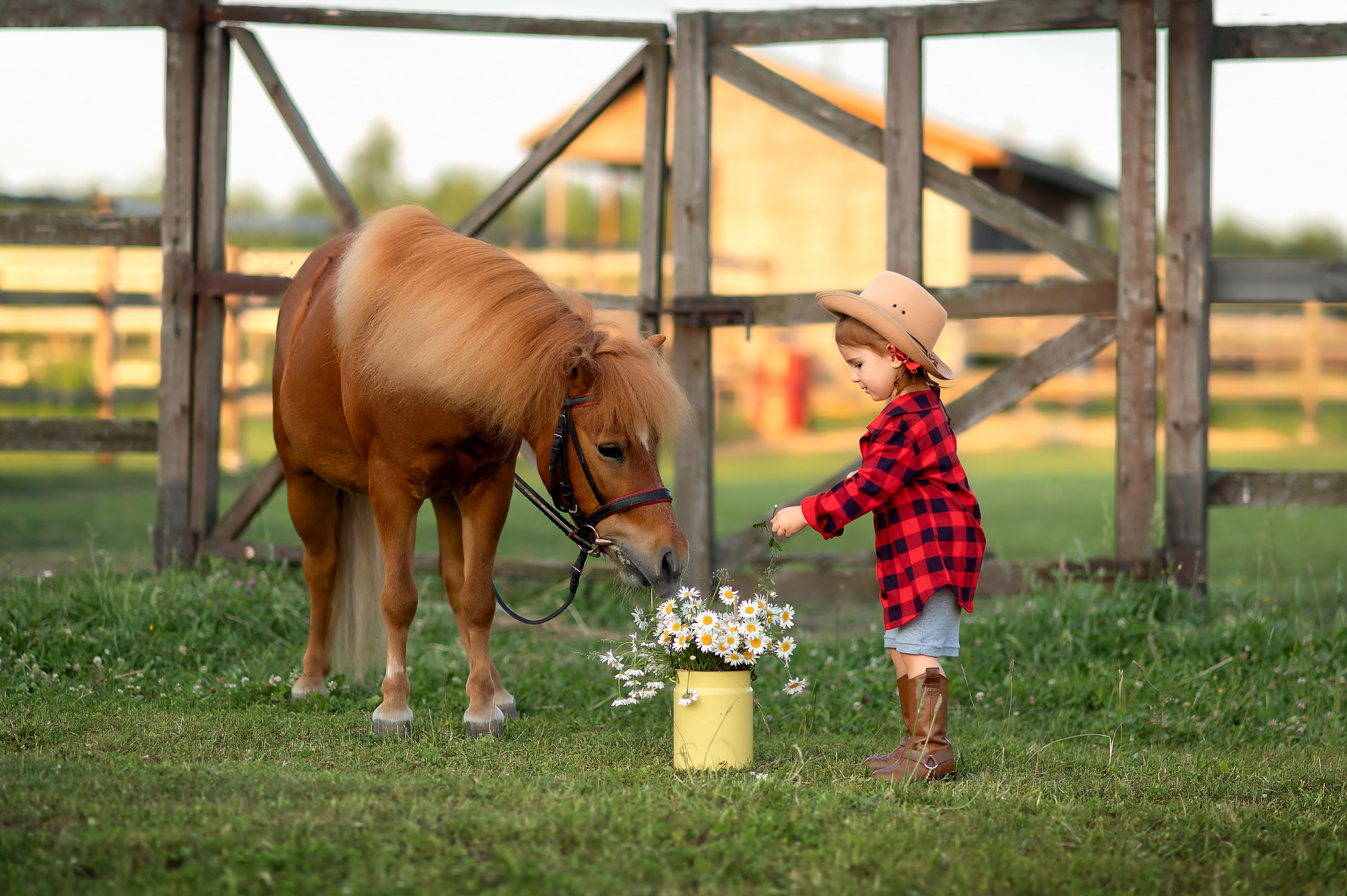 Детский и семейный фотограф в Переславле-Залесском Елена Усова