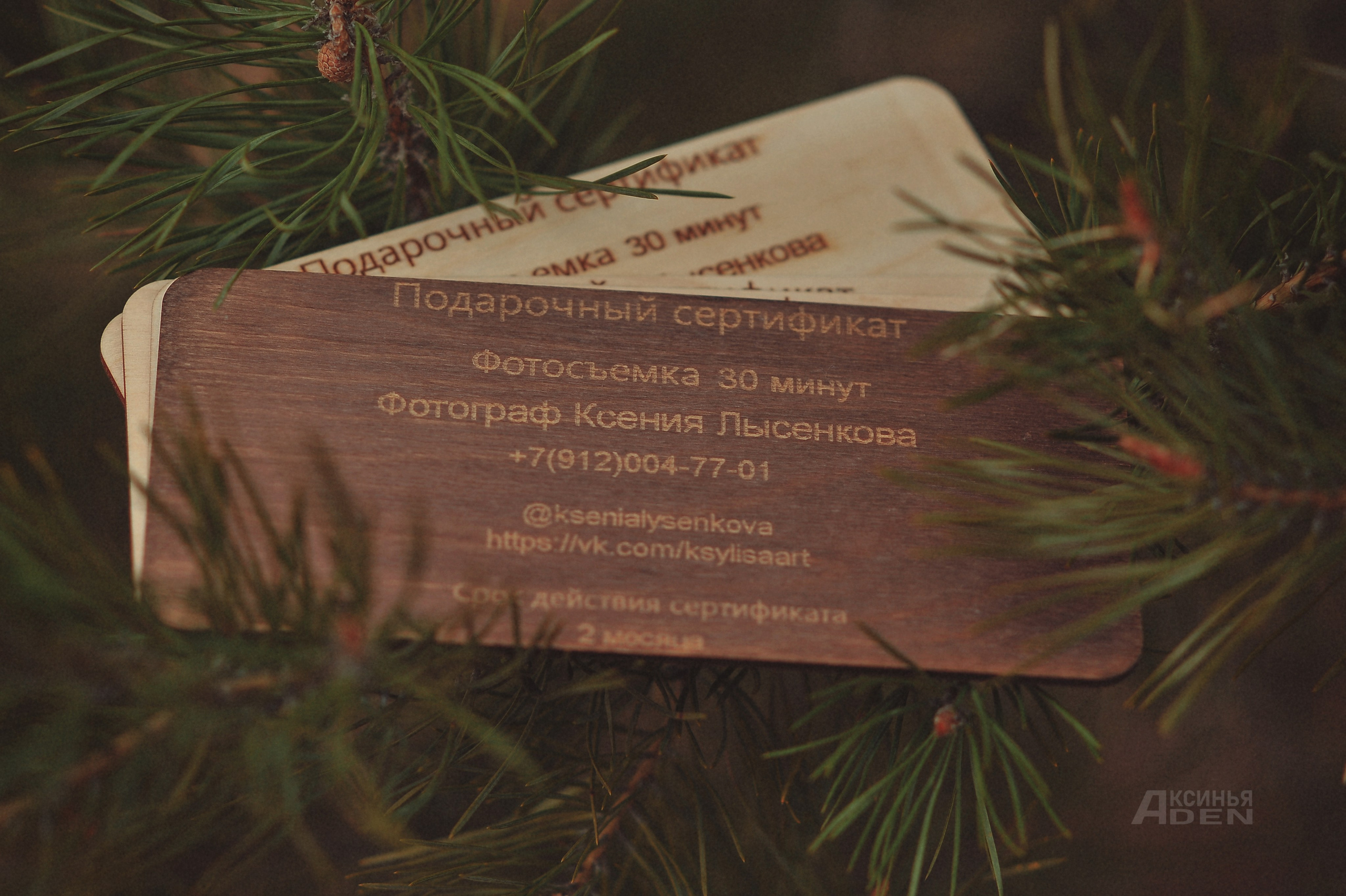 Подарочный сертификат на фотосессию в Ижевске. Детский, семейный фотограф в Ижевске и Москве Аксинья Лысенкова ADEN