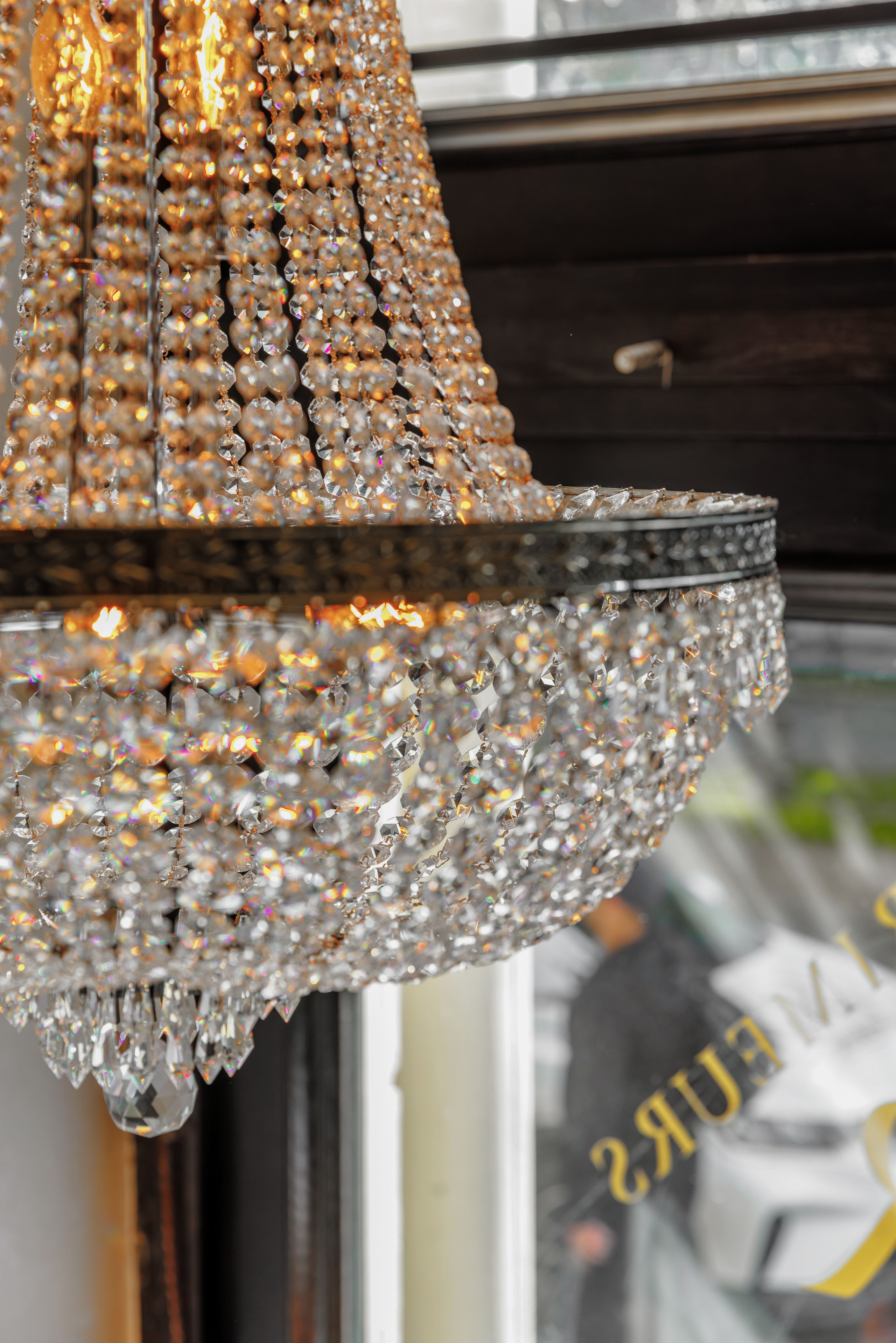 Медведь. Репортажный фотограф в Санкт-Петербурге Жолудев Владислав