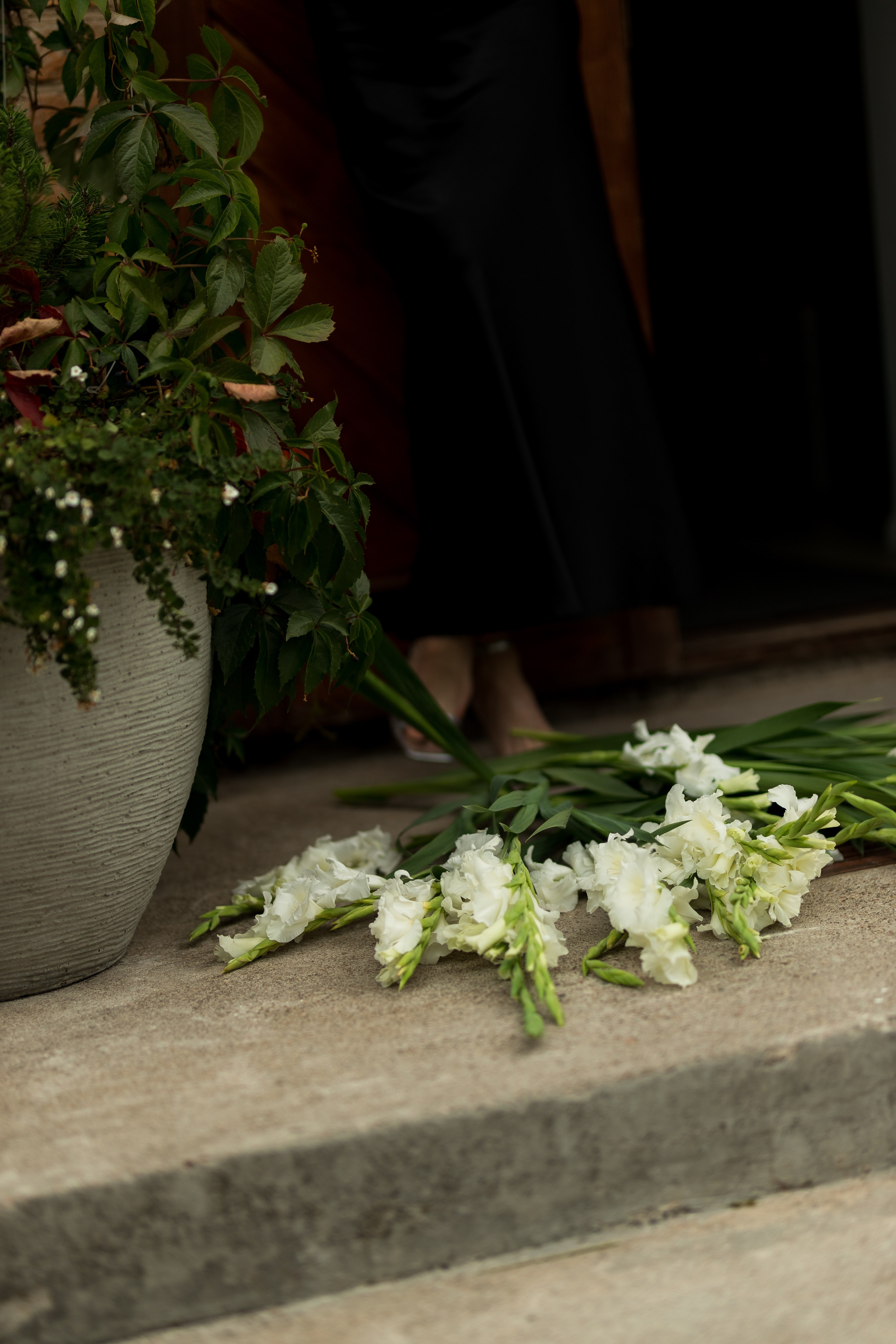 Д&Е. Свадебный фотограф Гомель