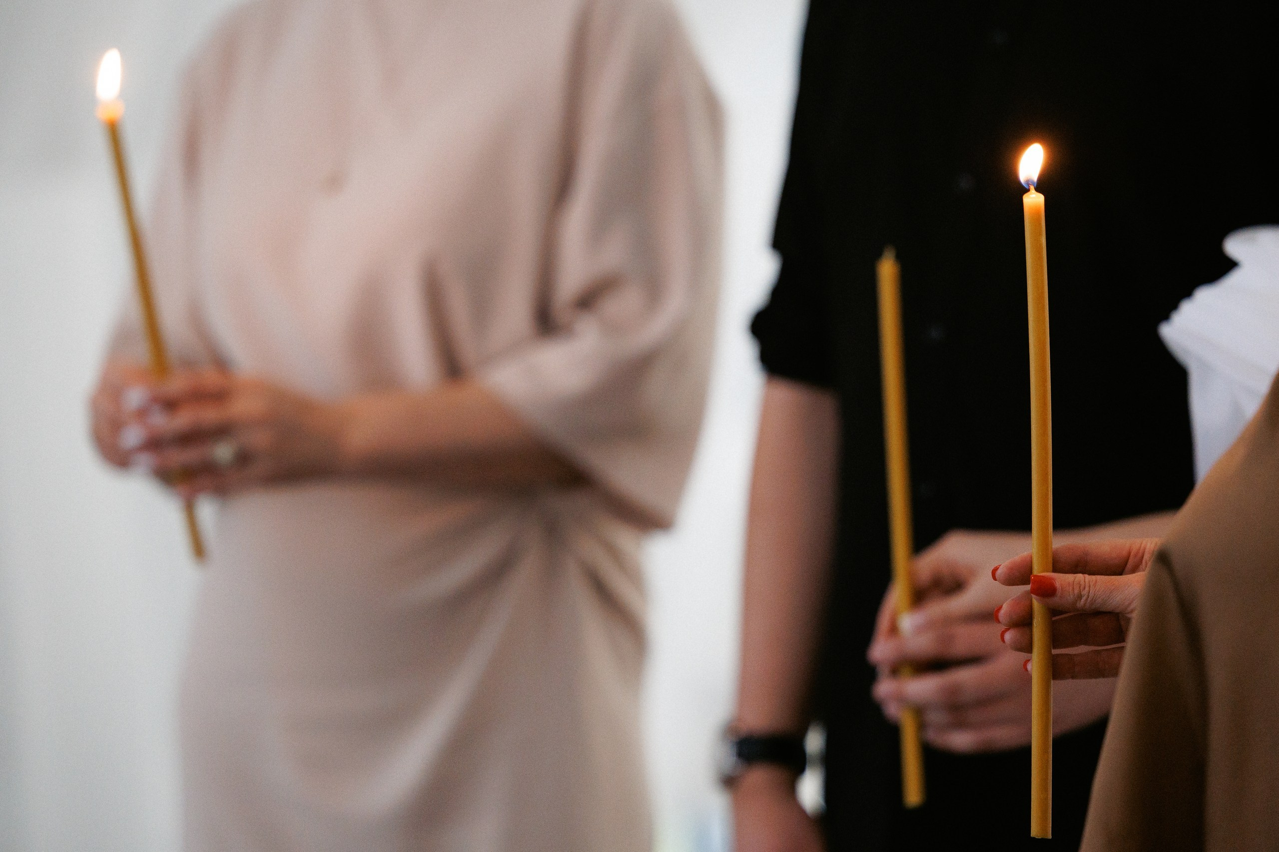 Свадьба под шёпот деревьев. Свадебный и семейный фотограф в Твери, Москве, Санкт-Петербурге