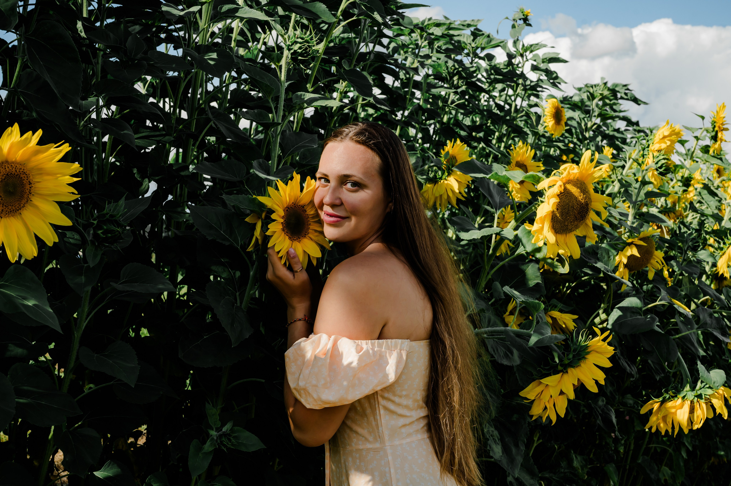 Подсолнухи. Свадебный и семейный фотограф Евгения Кононова