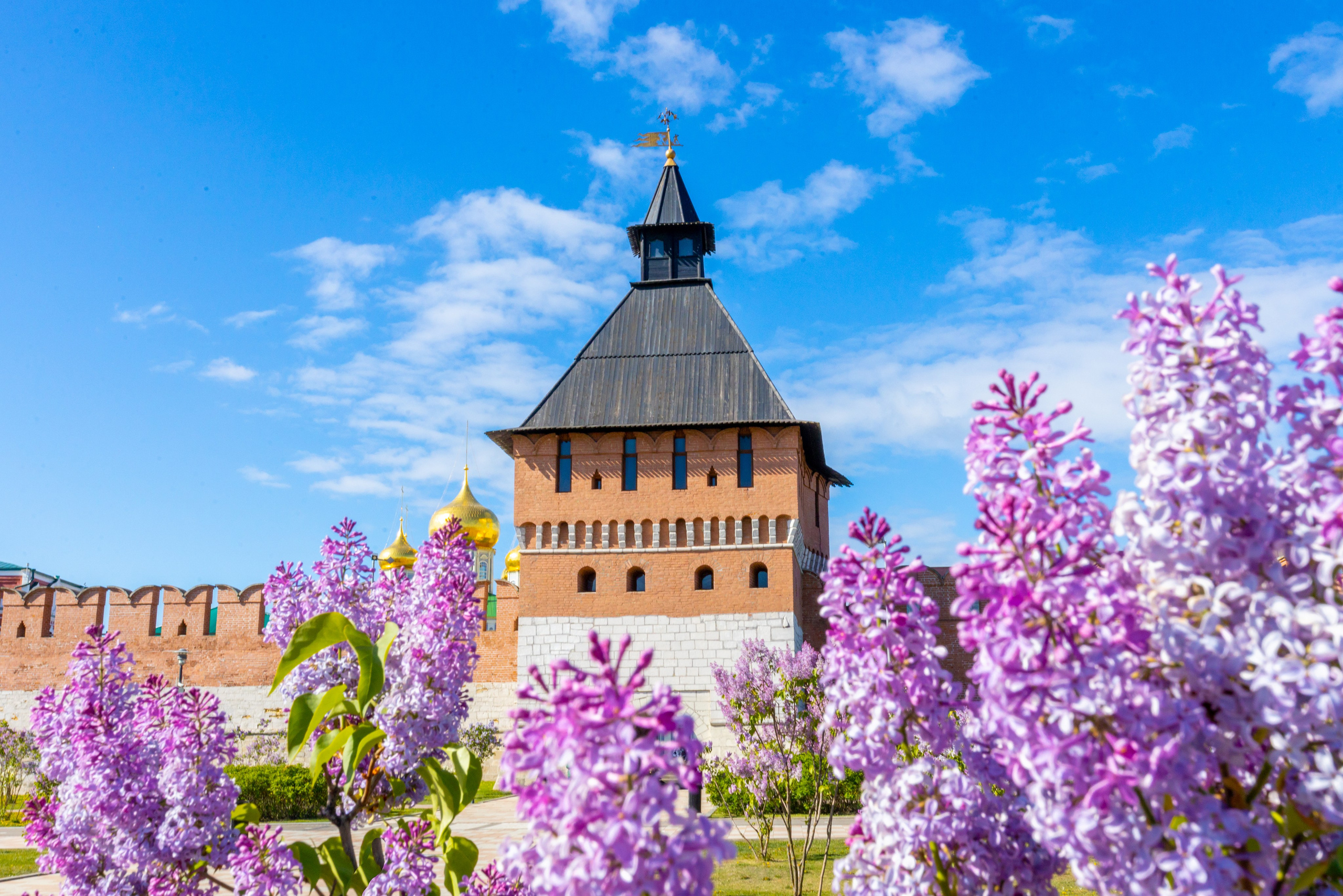 Весеннее цветение в Туле. Фотограф в Туле Крупский АнДРей. Фотостудия «КАДР71» в Туле