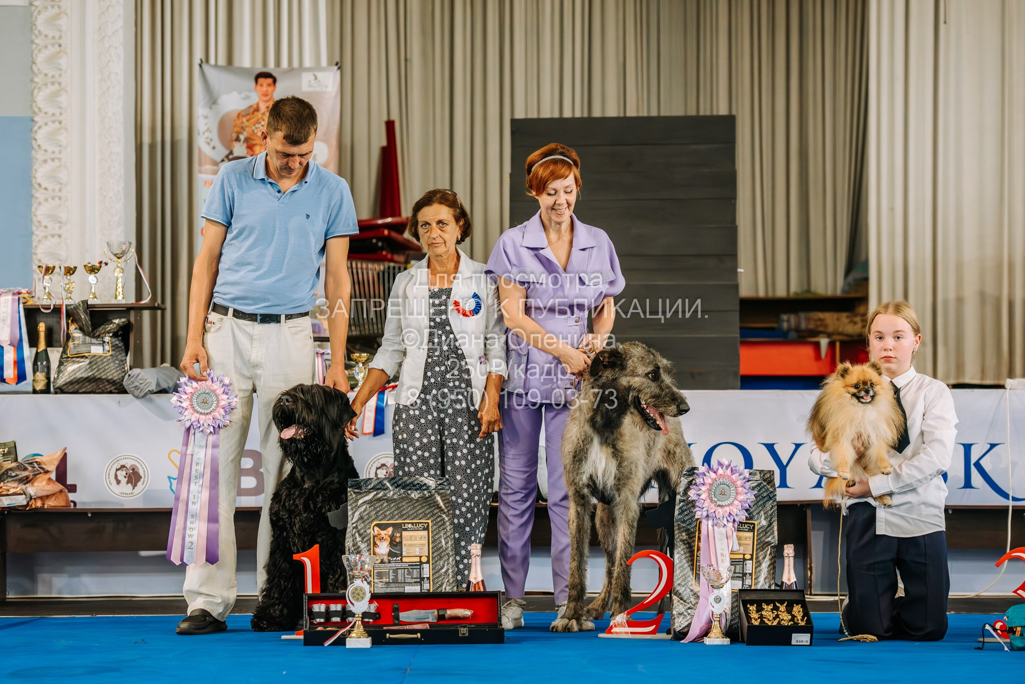 Национальная выставка собак всех пород ранга САС-IKU «Кубок Красноярск. Фотограф Диана Оленина Красноярск / Братск