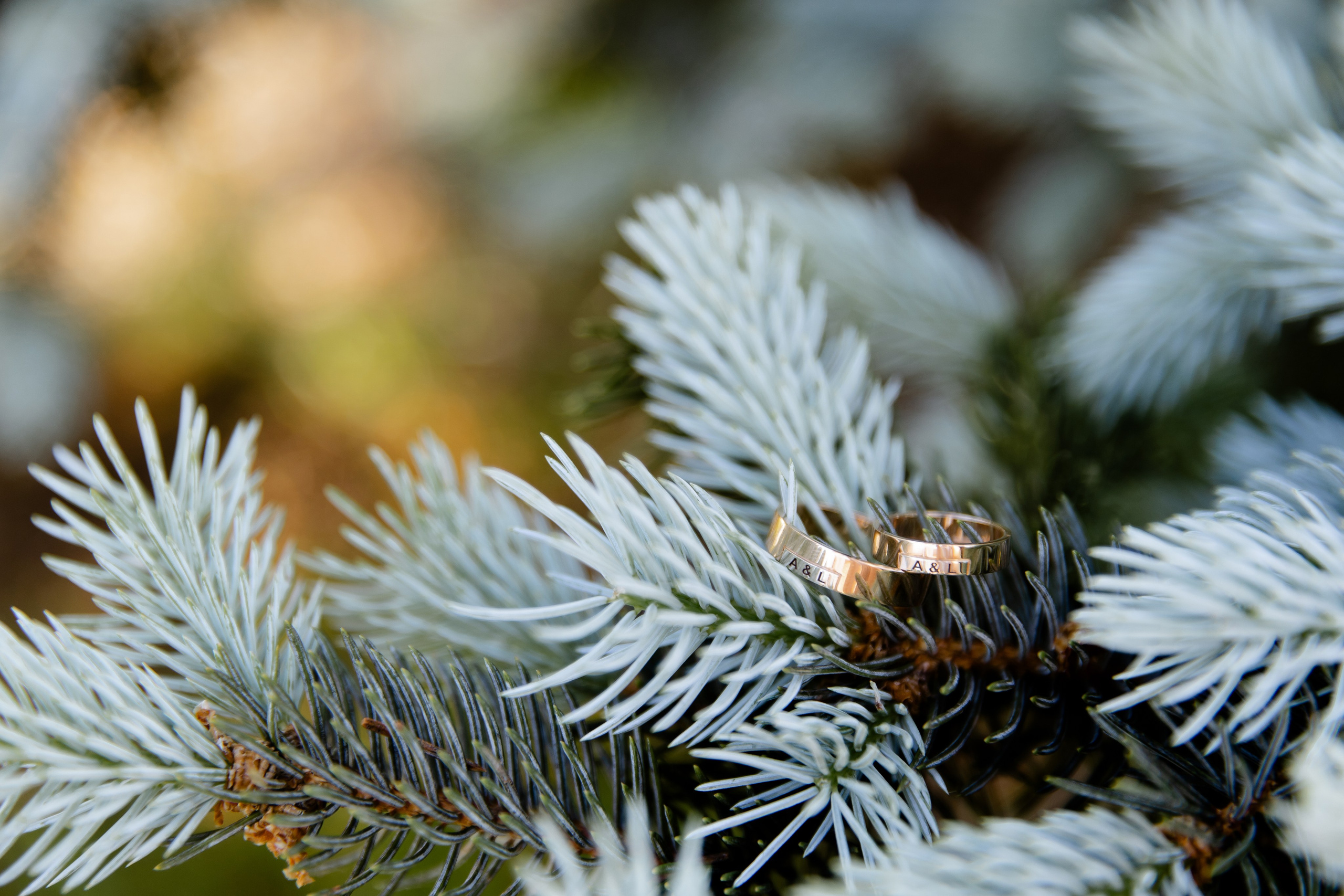 Свадебный день Саши и Лады. Свадебный фотограф Анна Бабахина