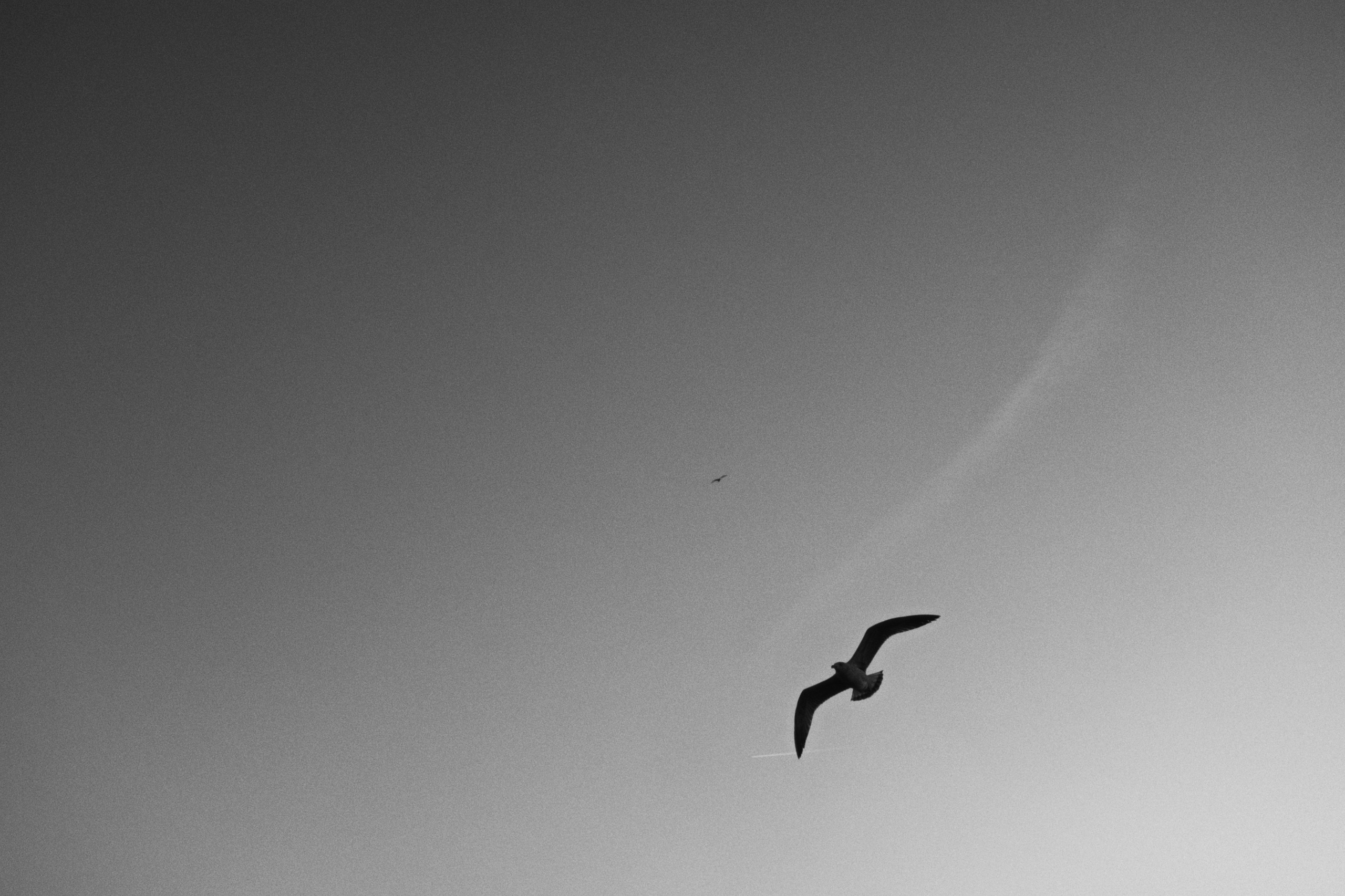 Kadikoy x Moda, Istanbul / Türkey AW25. Фотограф Юрин Евгений