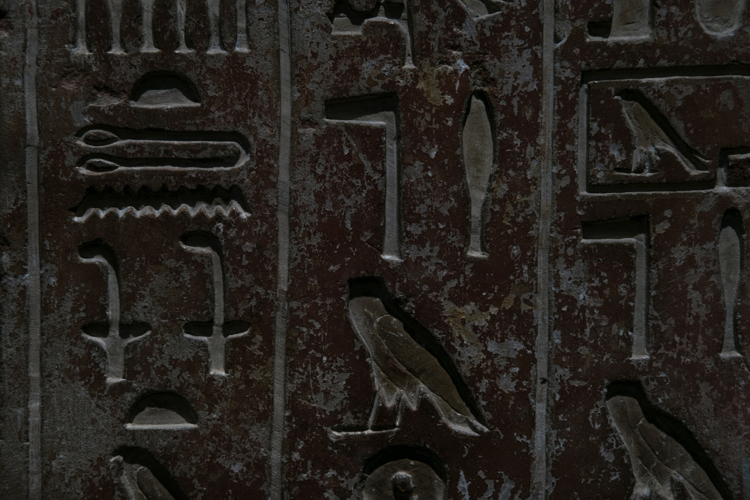 Archaeological Museum / Cairo, Egypt AW25. Фотограф Юрин Евгений