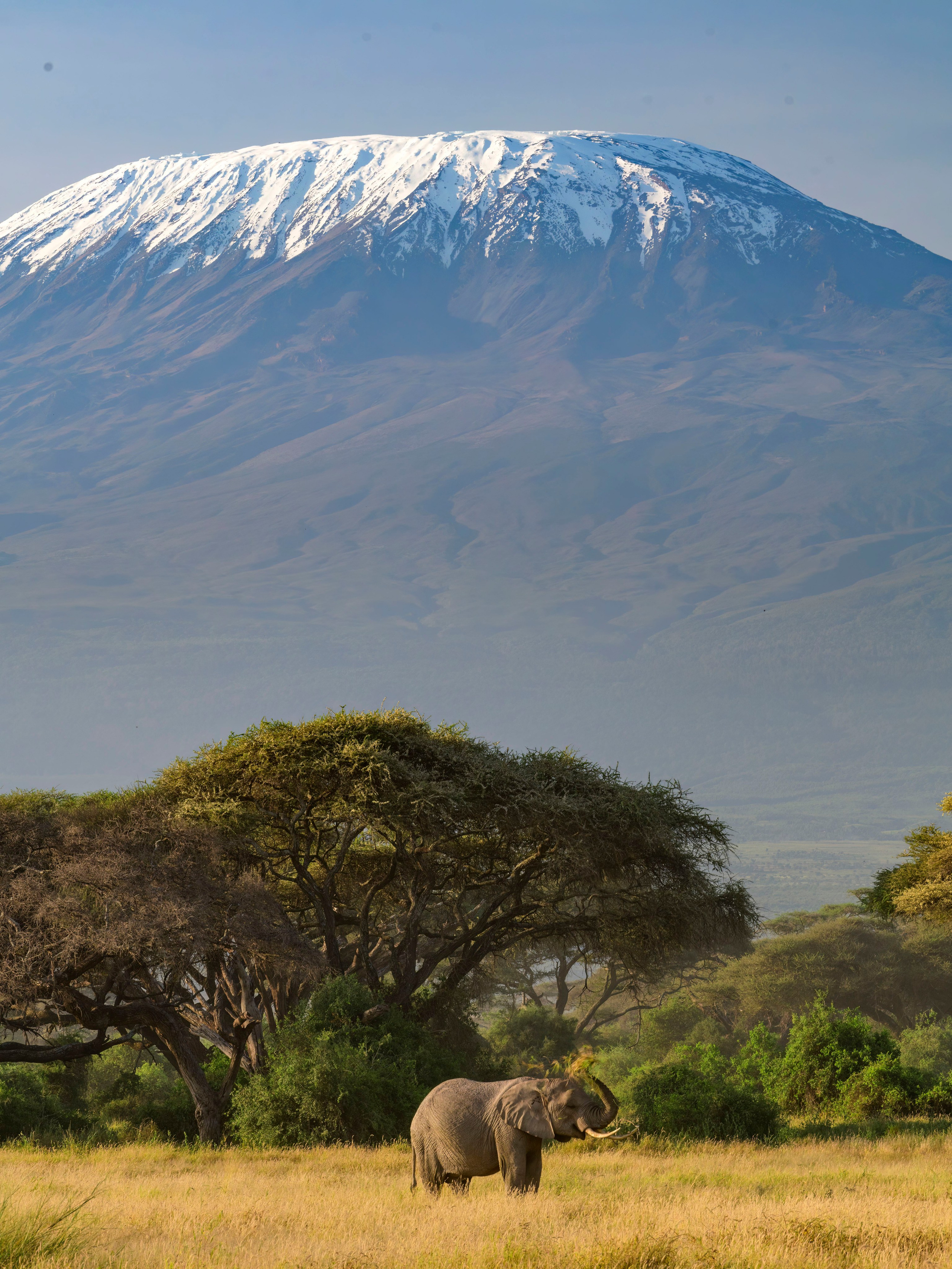 Кения. Wildlife photography by Sergey Puponin