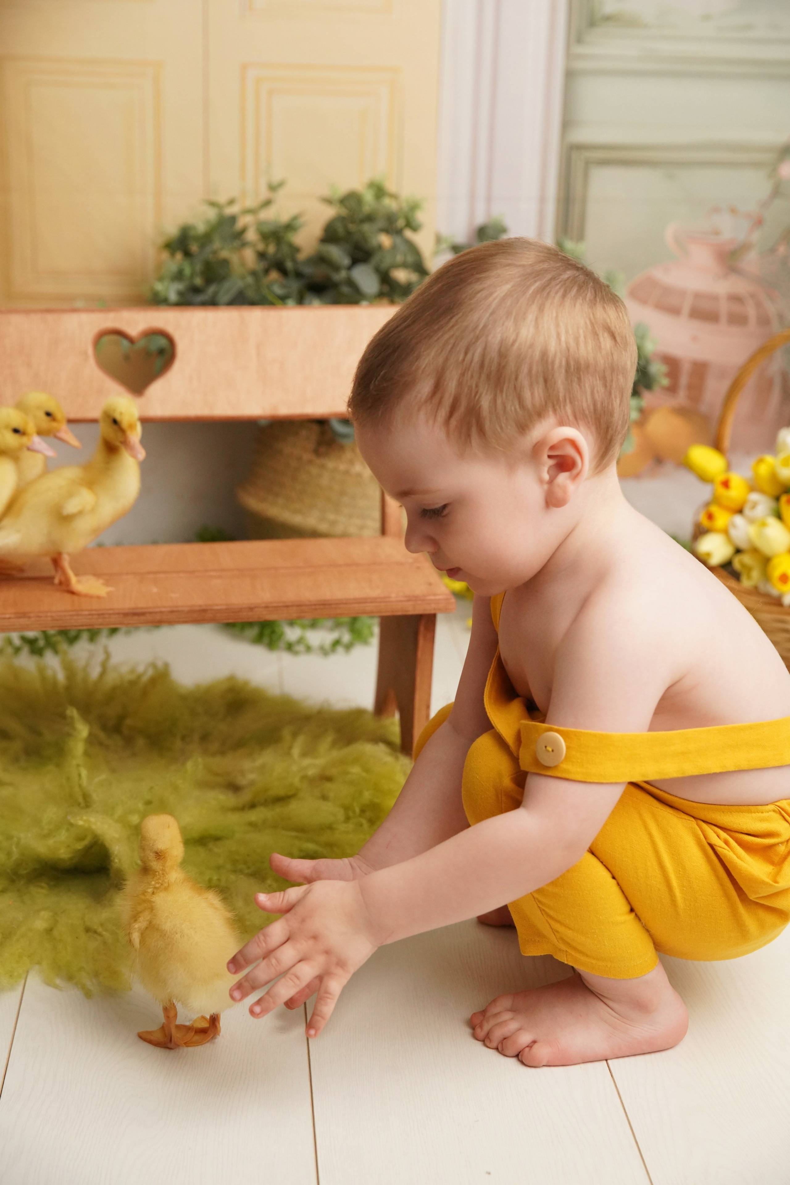 Утята. Фотограф новорожденных. Семейный и детский фотограф в городе Сургуте