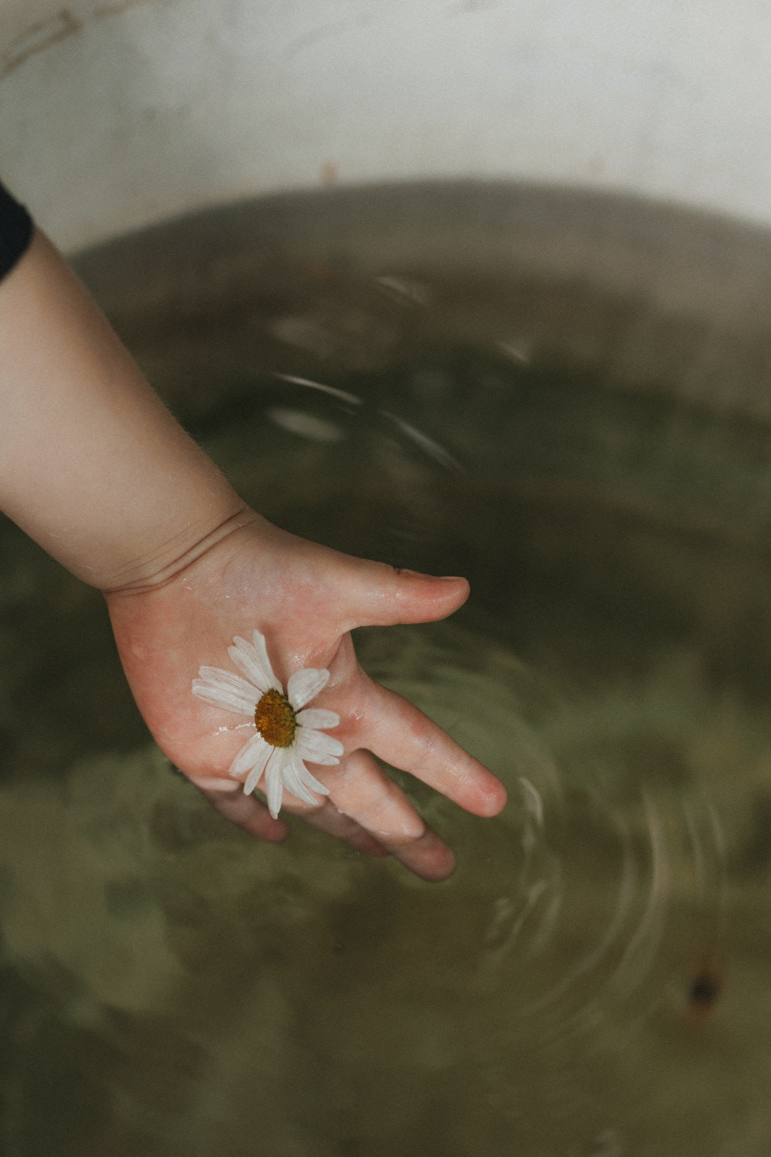 «НА ДАЧЕ». Maria Startseva Photo