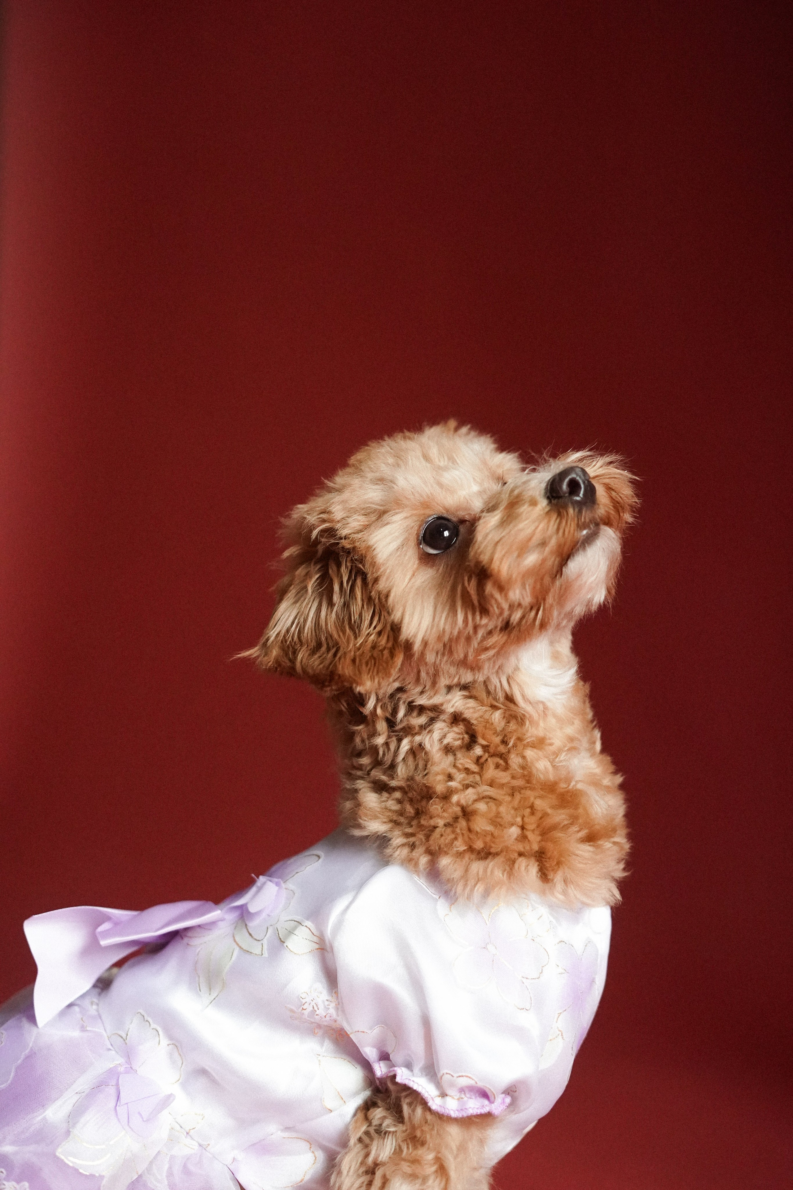 Индивидуальные съемки #3. Концертный и репортажный фотограф Ханты-Мансийск Воинская Татьяна