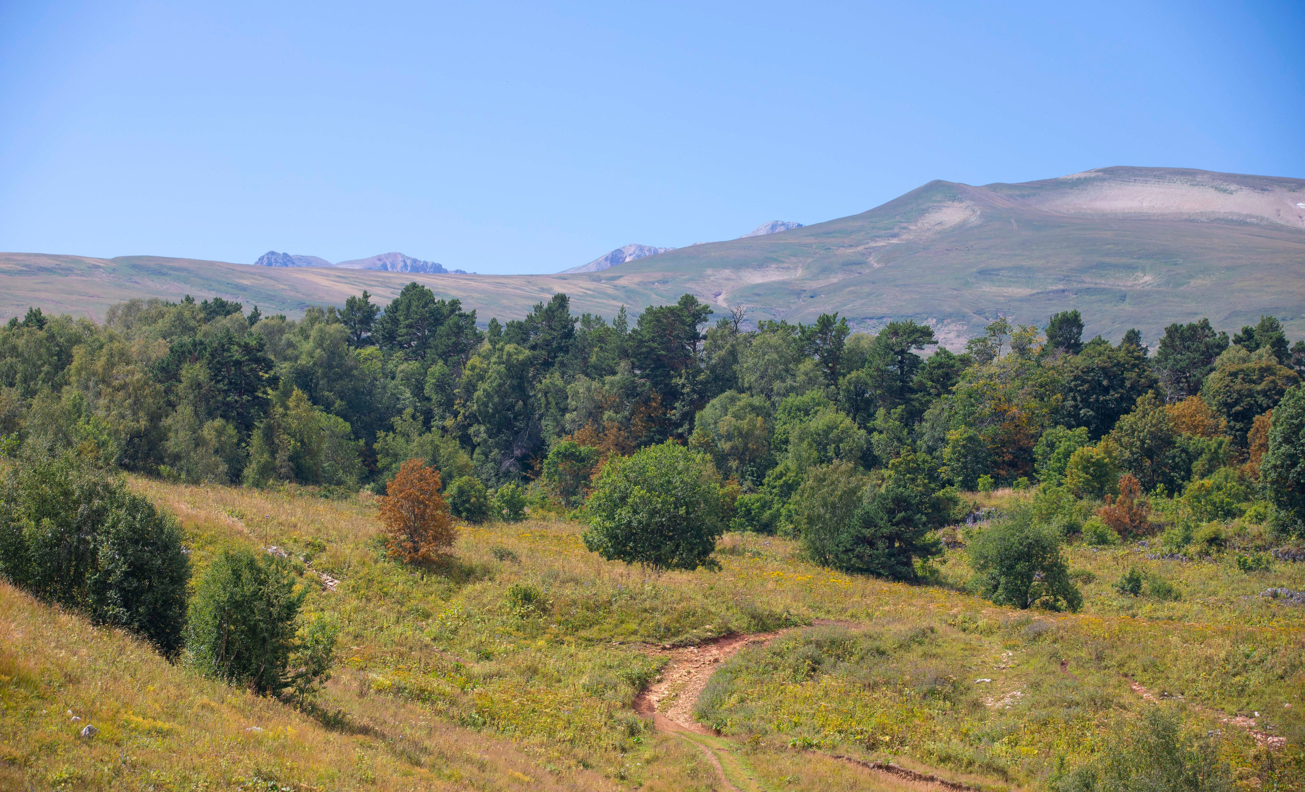 Лаго-Наки. Фото о жизни