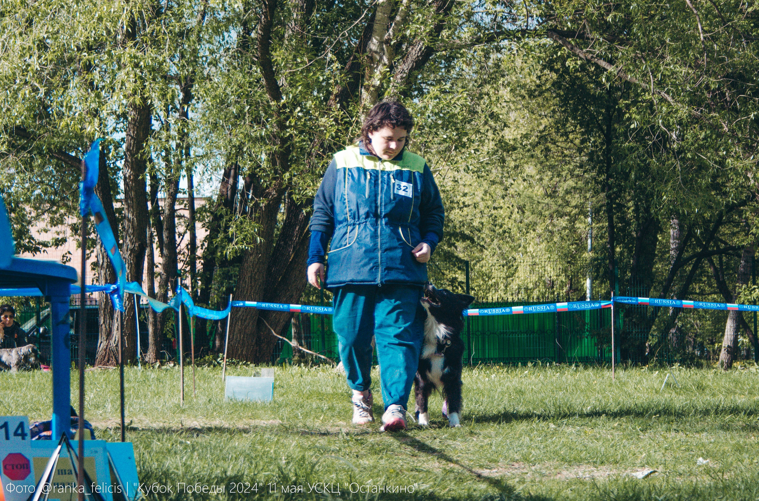 Хава. BLGKV питомник собак