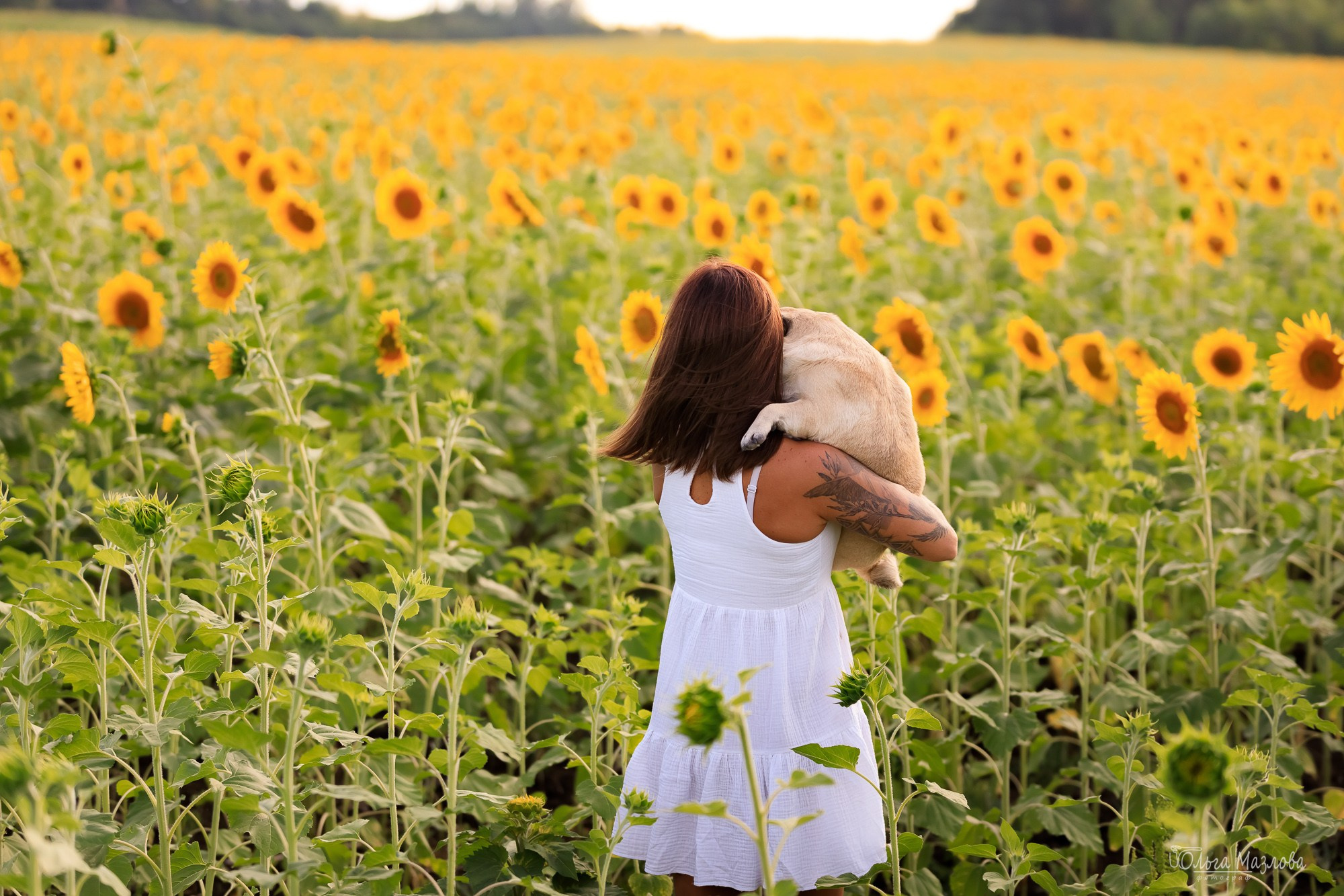 Фотосессия с питомцами. Фотограф в Саратове Ольга Мазлова
