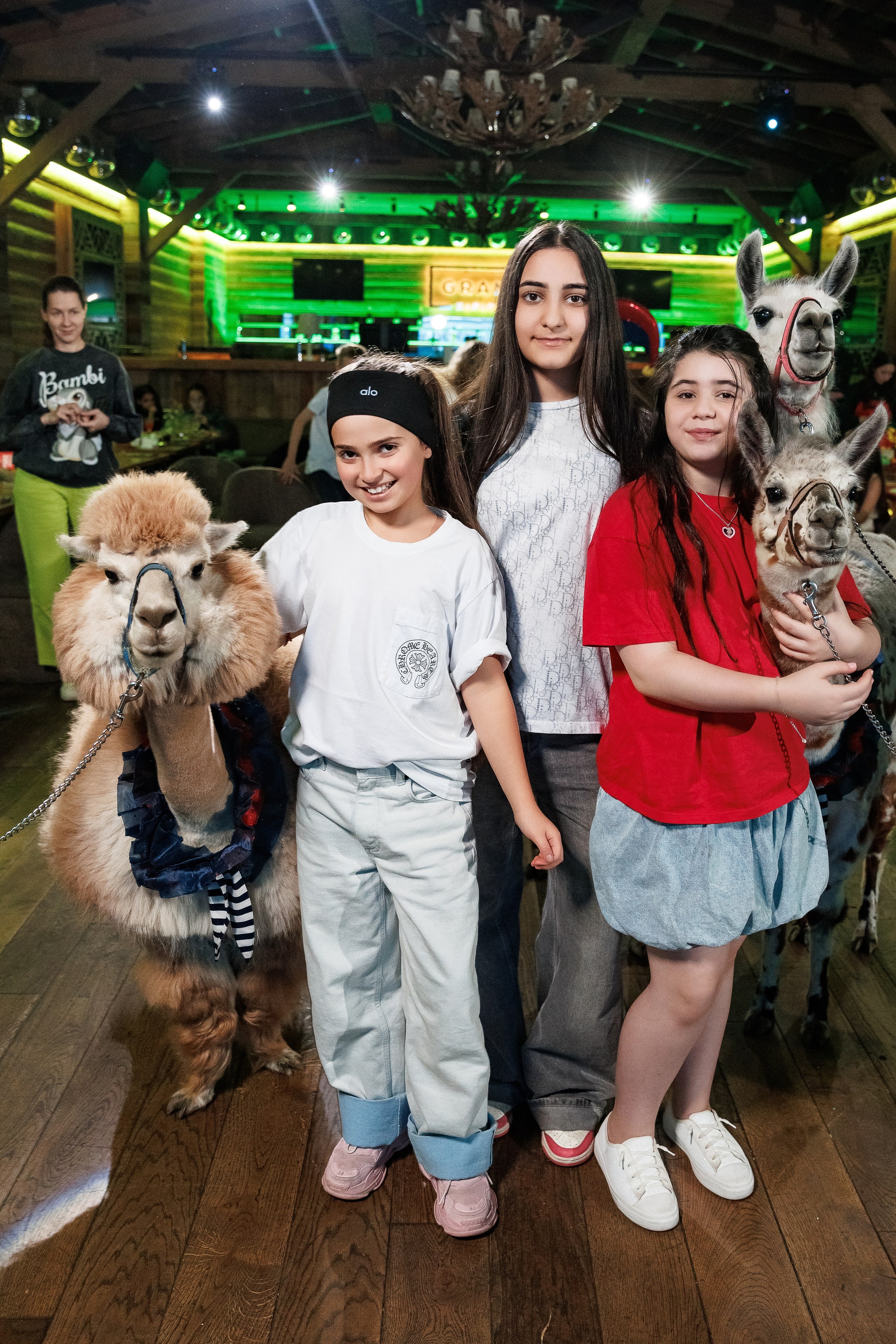 Лама и Альпака