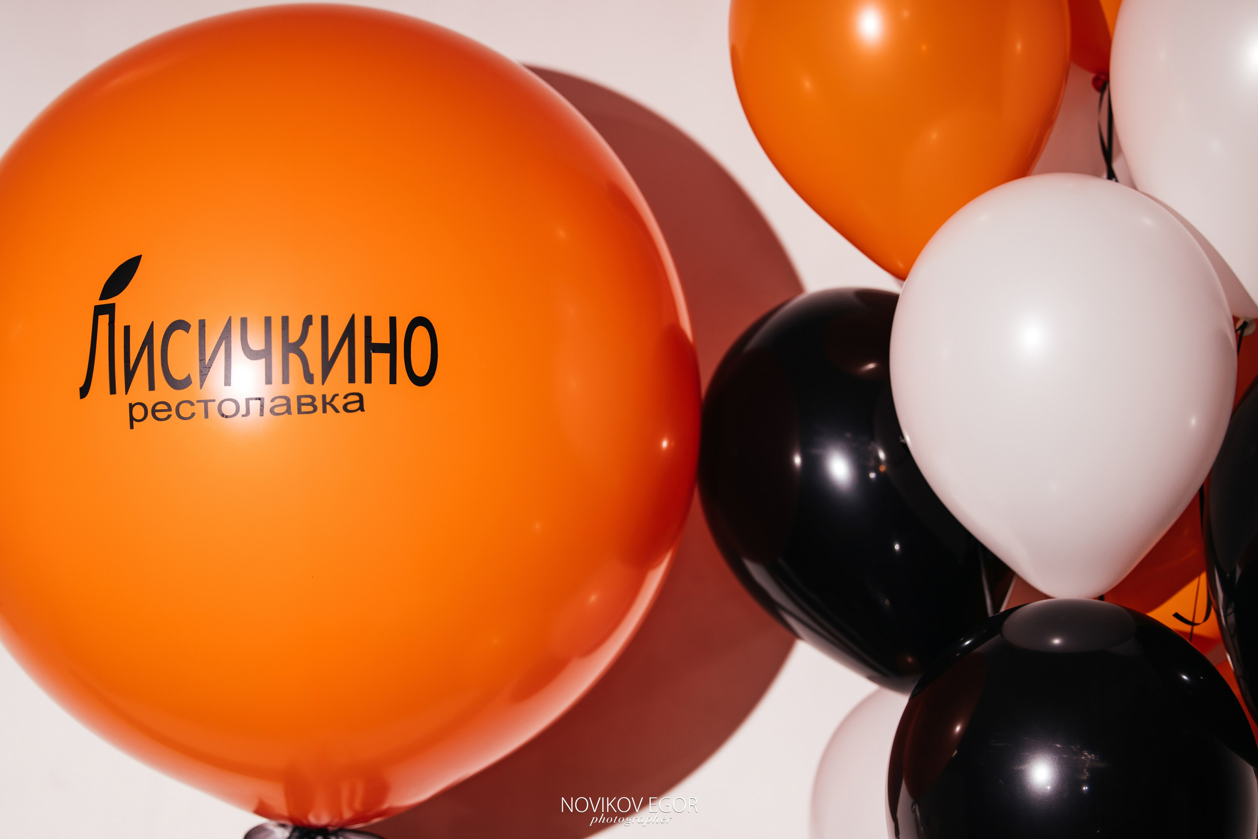 С Новым Годом, Лисичкино!. Фотограф Ростов-на-Дону