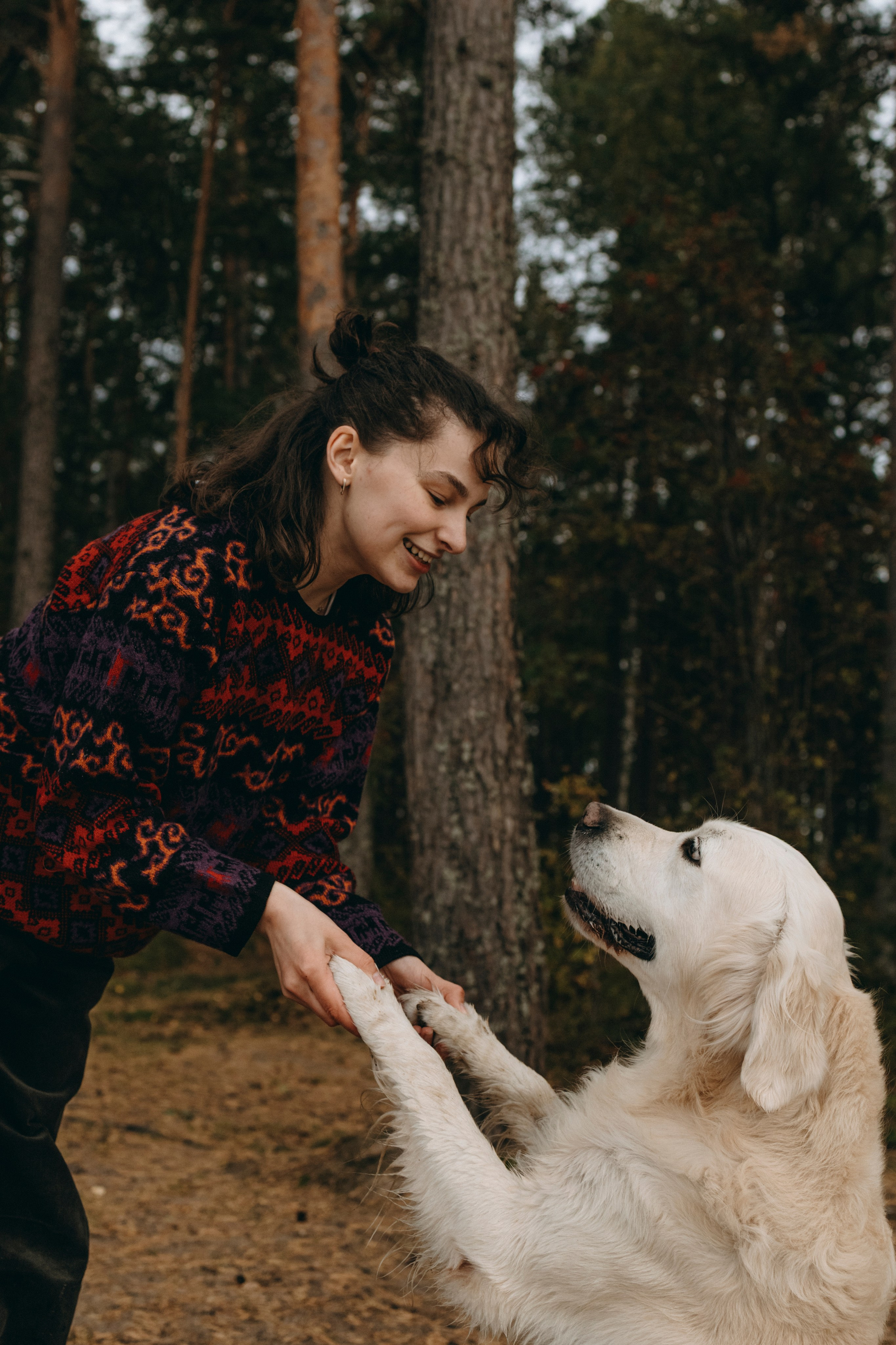 Прогулка Насти с Арчи и Арагоном. Фотограф-анималист в Санкт-Петеребурге Титова Алиса